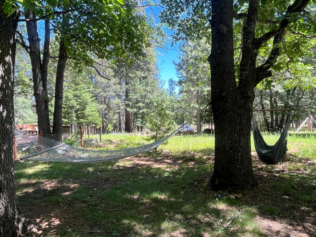 Willow's Healing Haven