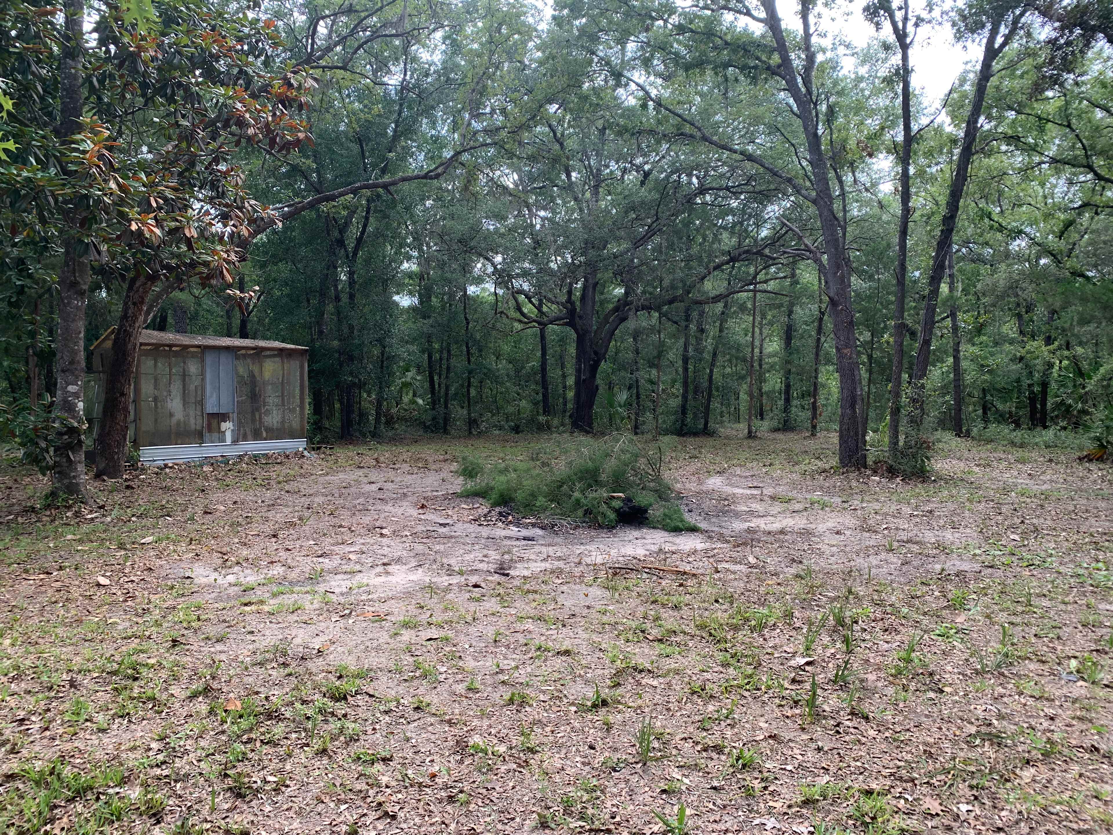fire pit area 