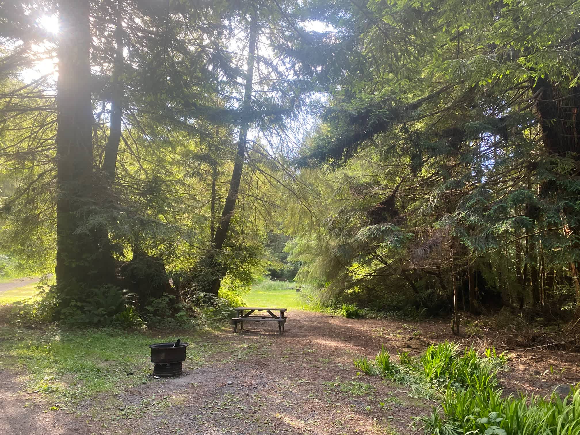 Mystic Forest Campground