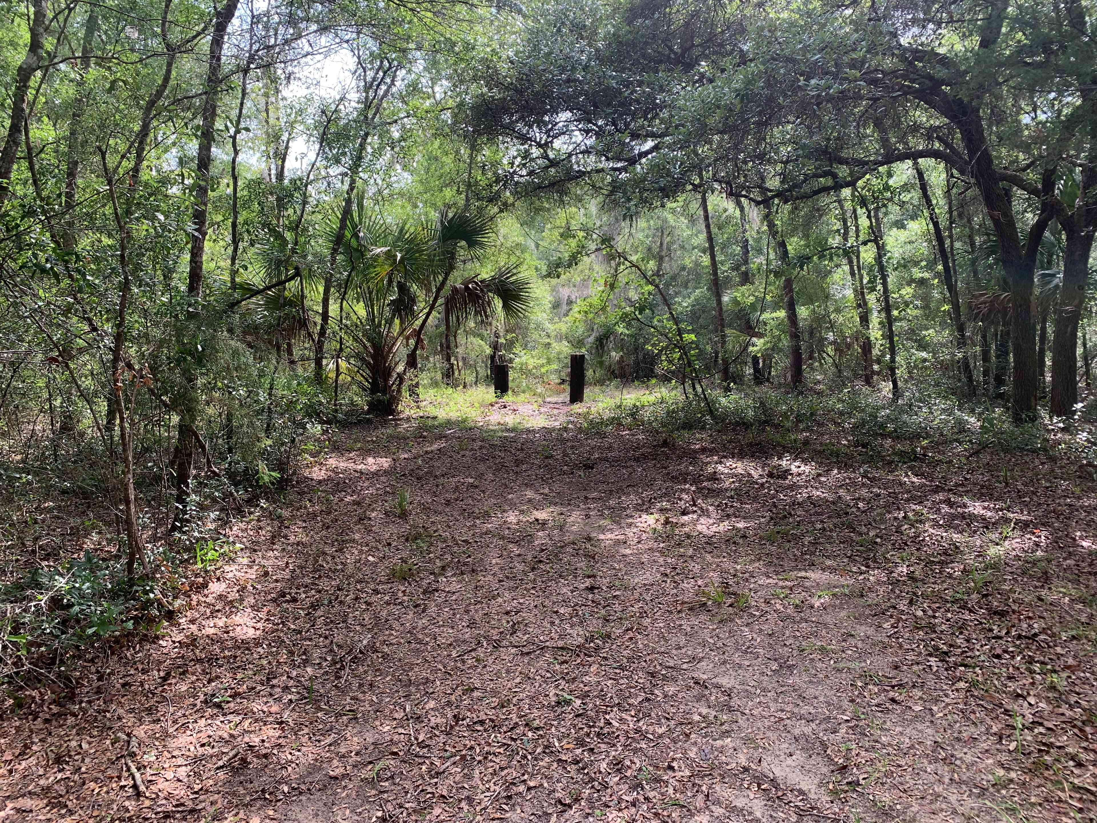 Steinhatchee Hills
