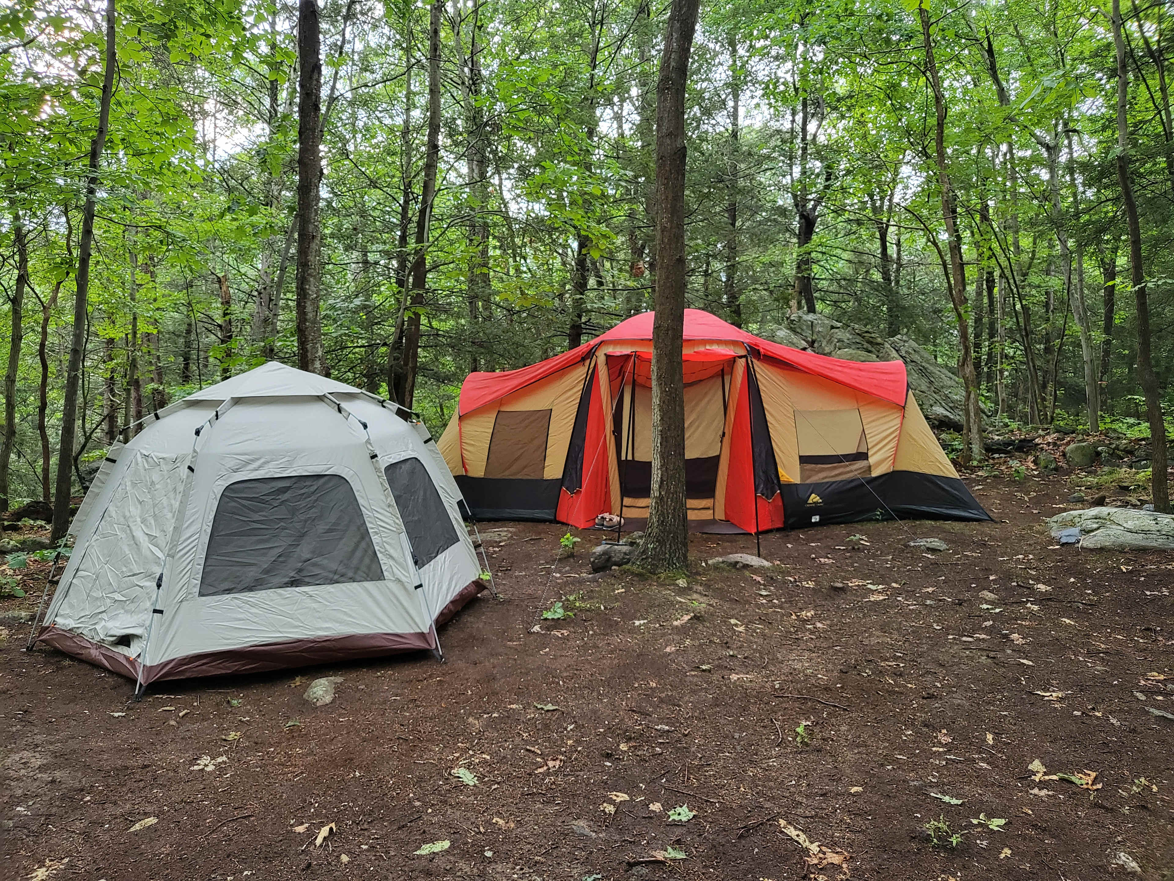 Site 9