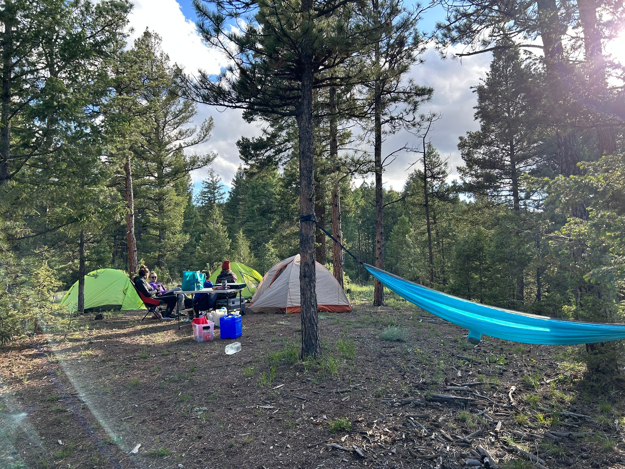 Serenity in the Foothills