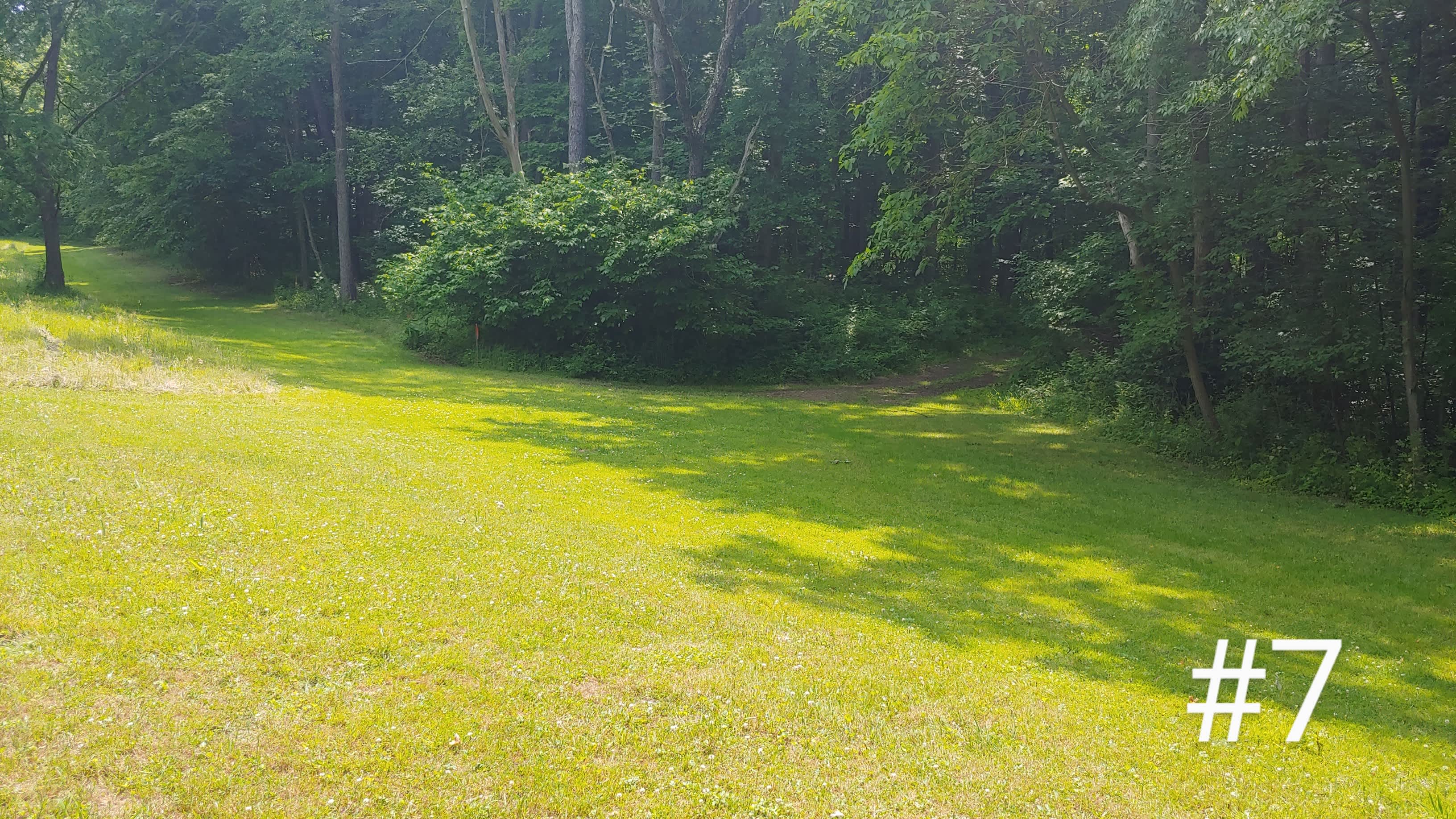 Bill S. and Nancy's property