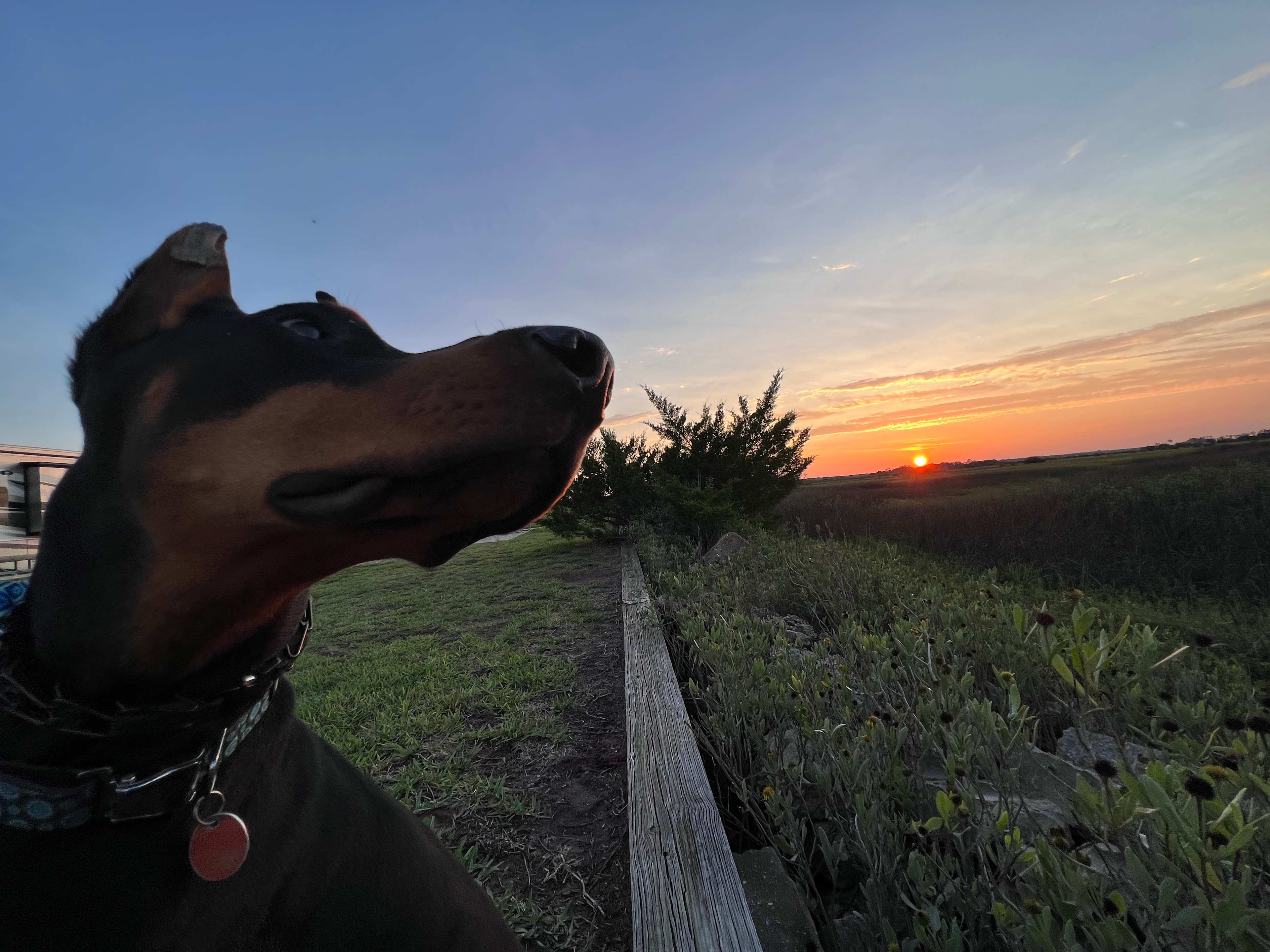 Sunset