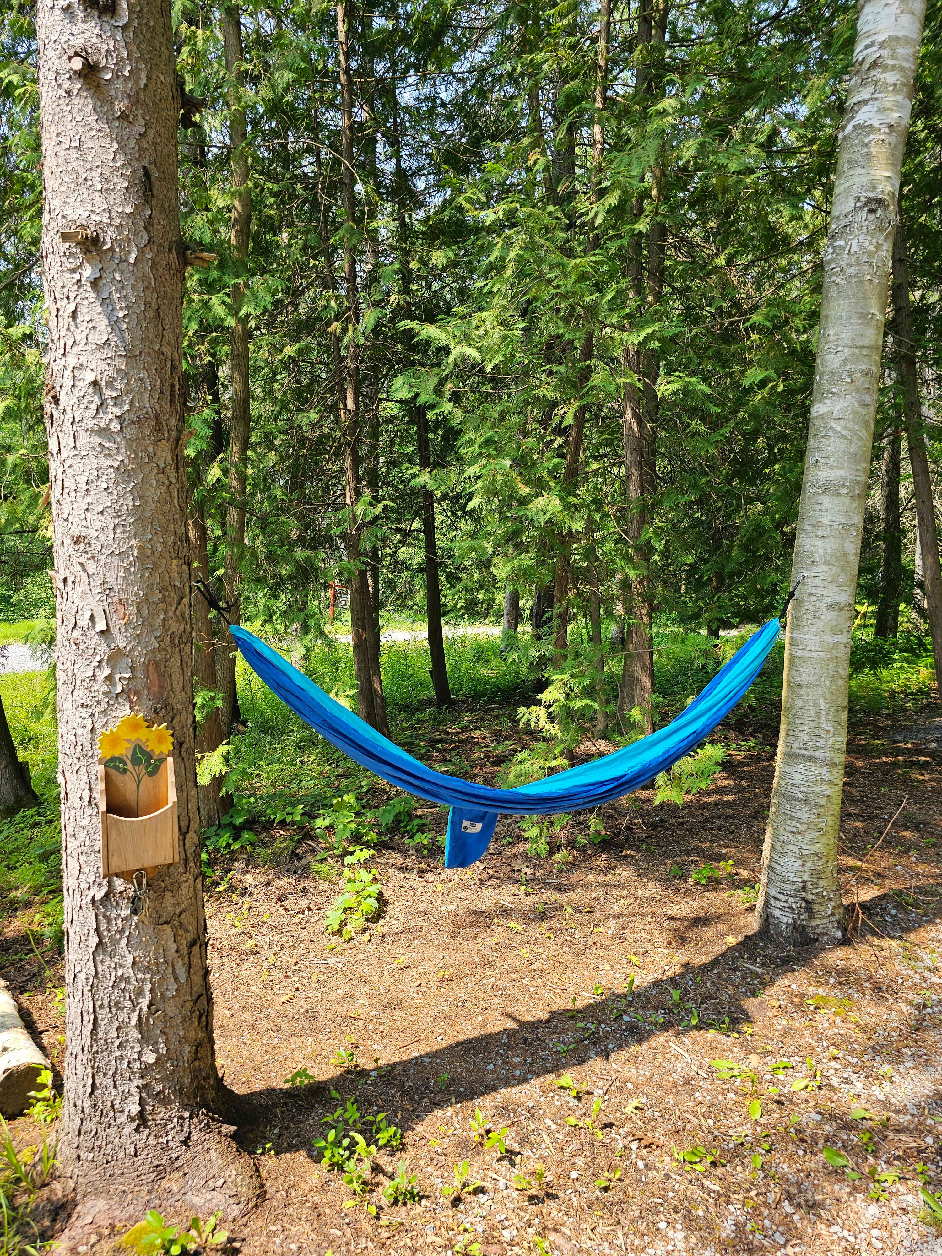 Relaxing Hammock