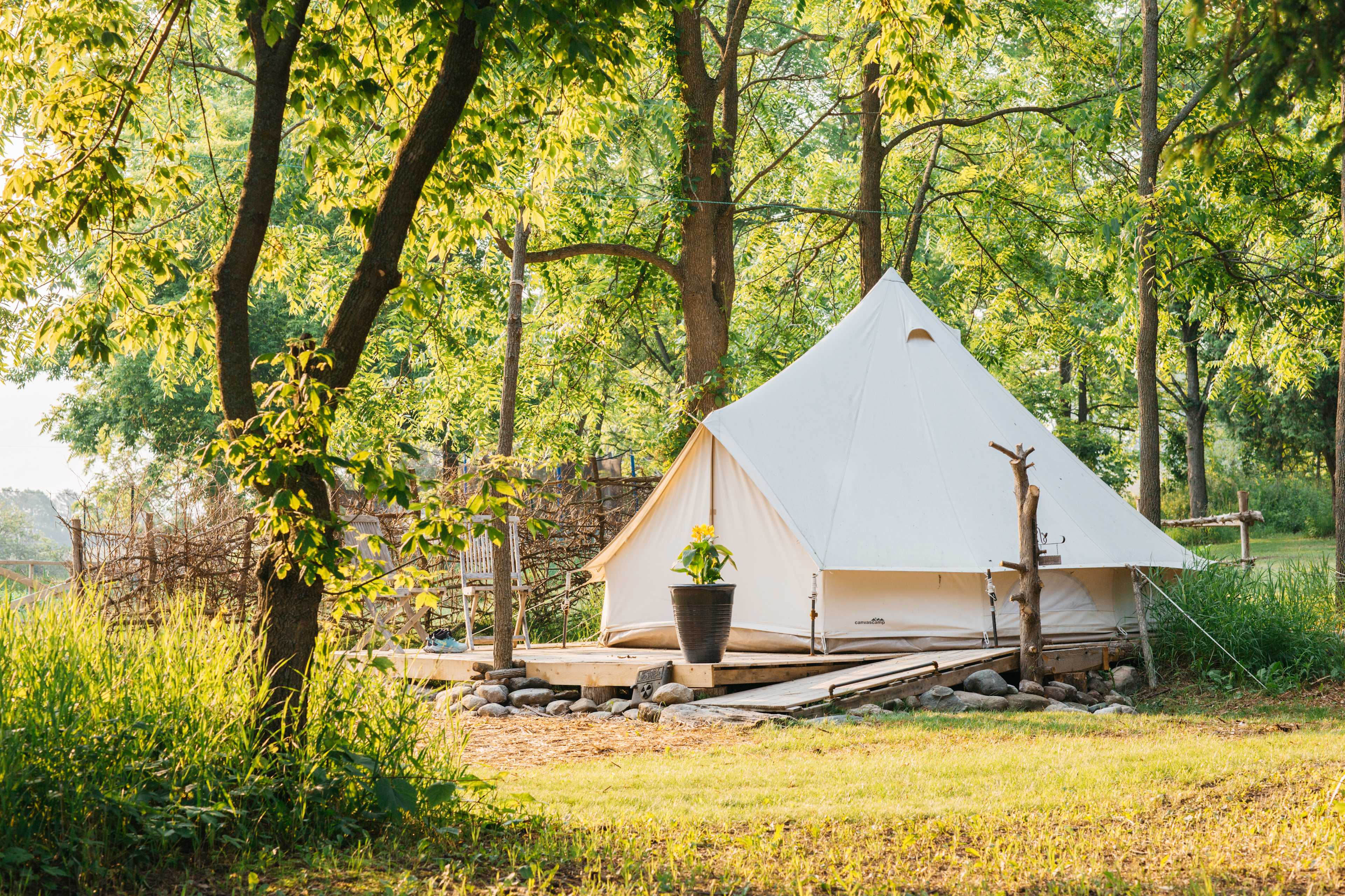 First light on the Sunset Hollow canvas tent.