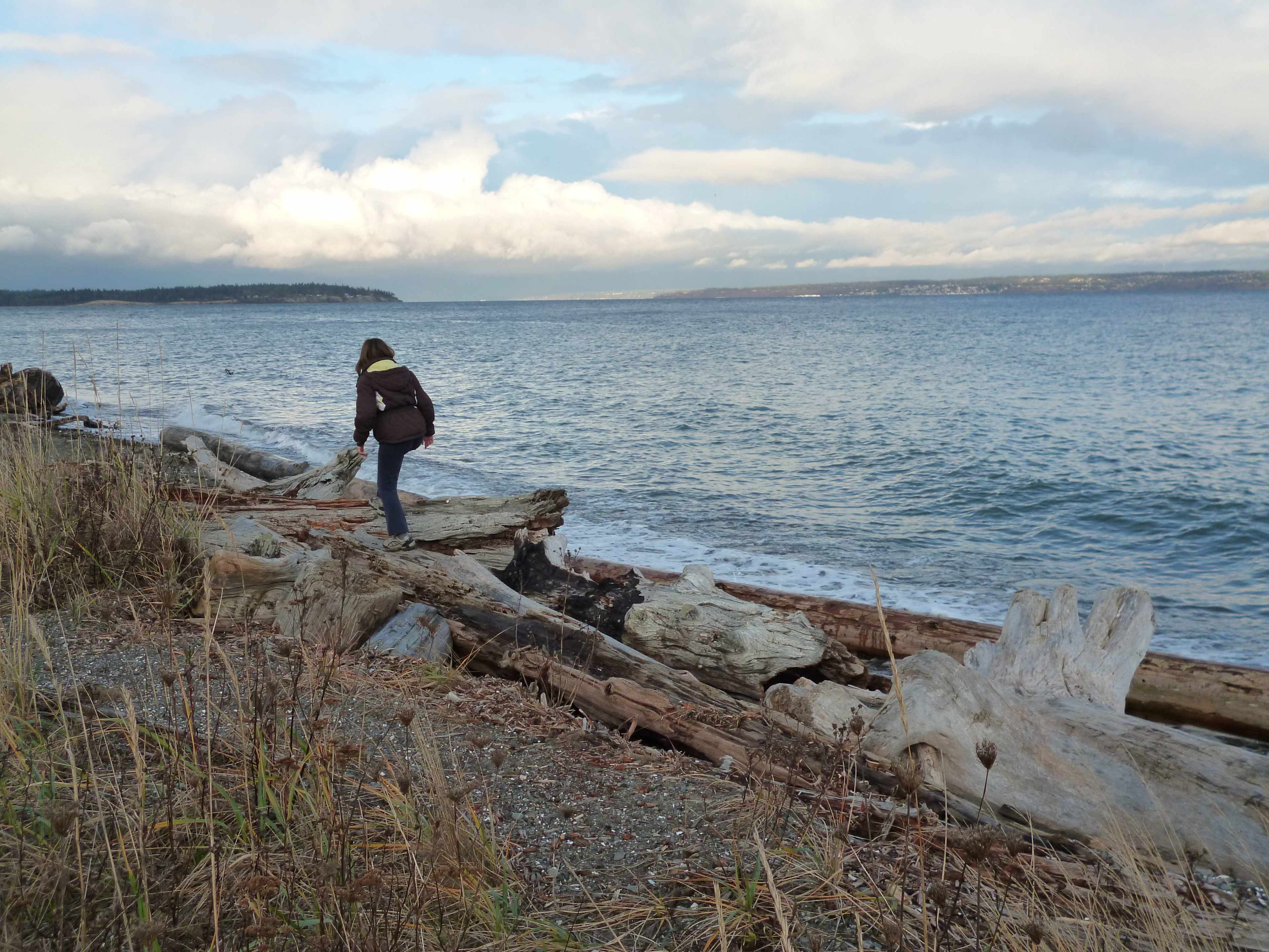 Fay Bainbridge Park