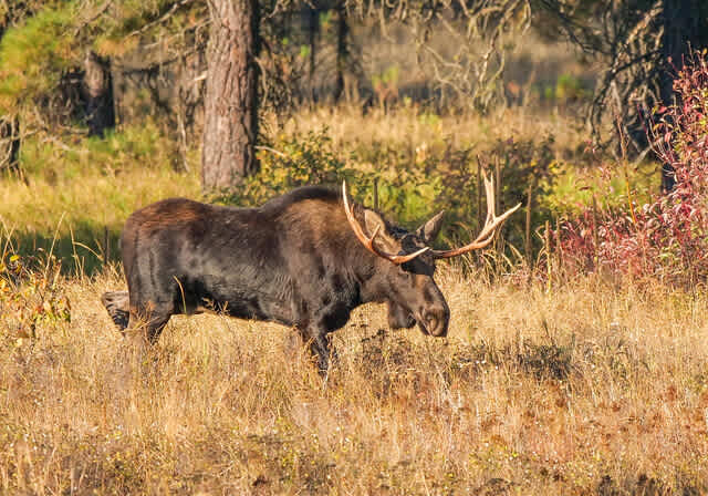 Turnbull National Wildlife Refuge