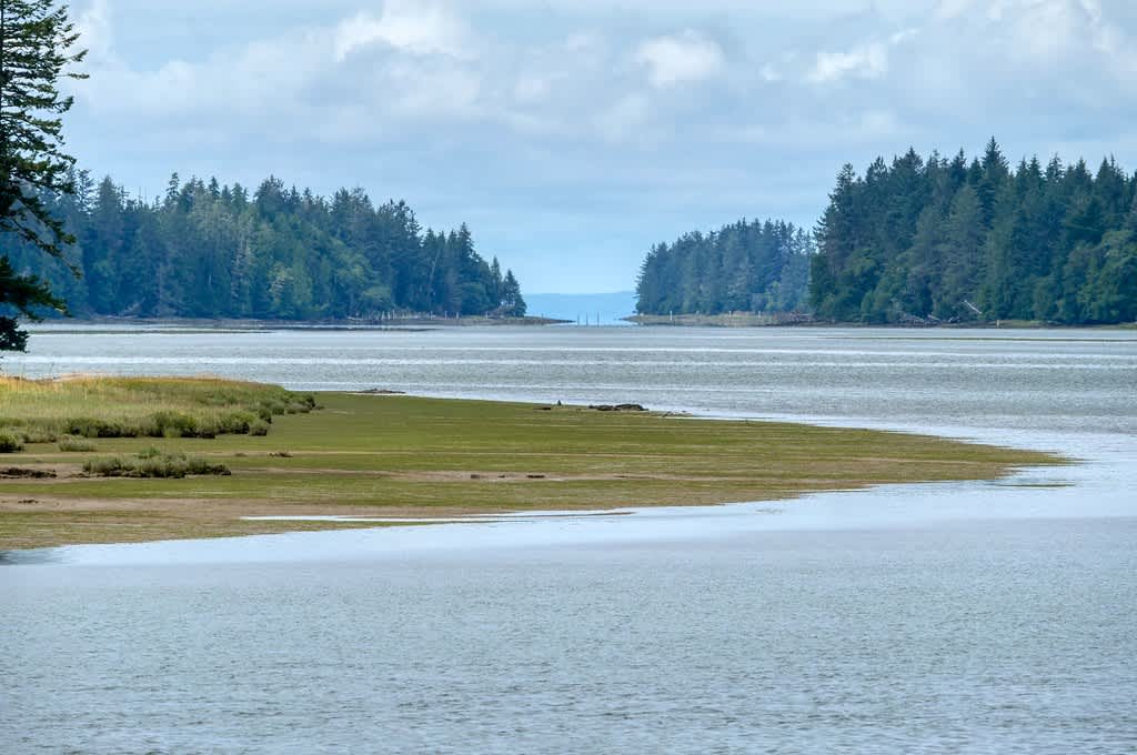Willapa National Wildlife Refuge