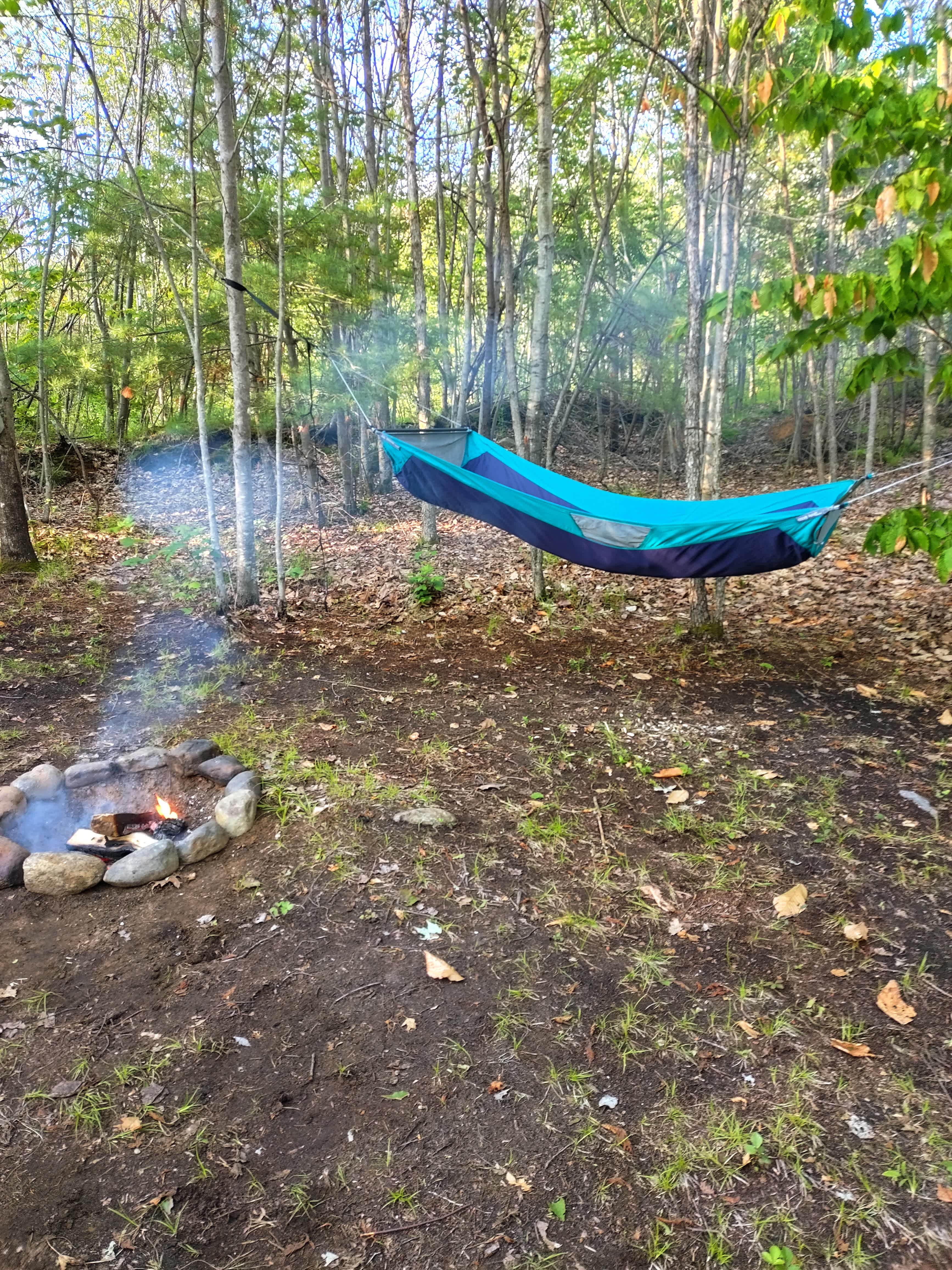 Campers Welcome to The Wolf Swamp.