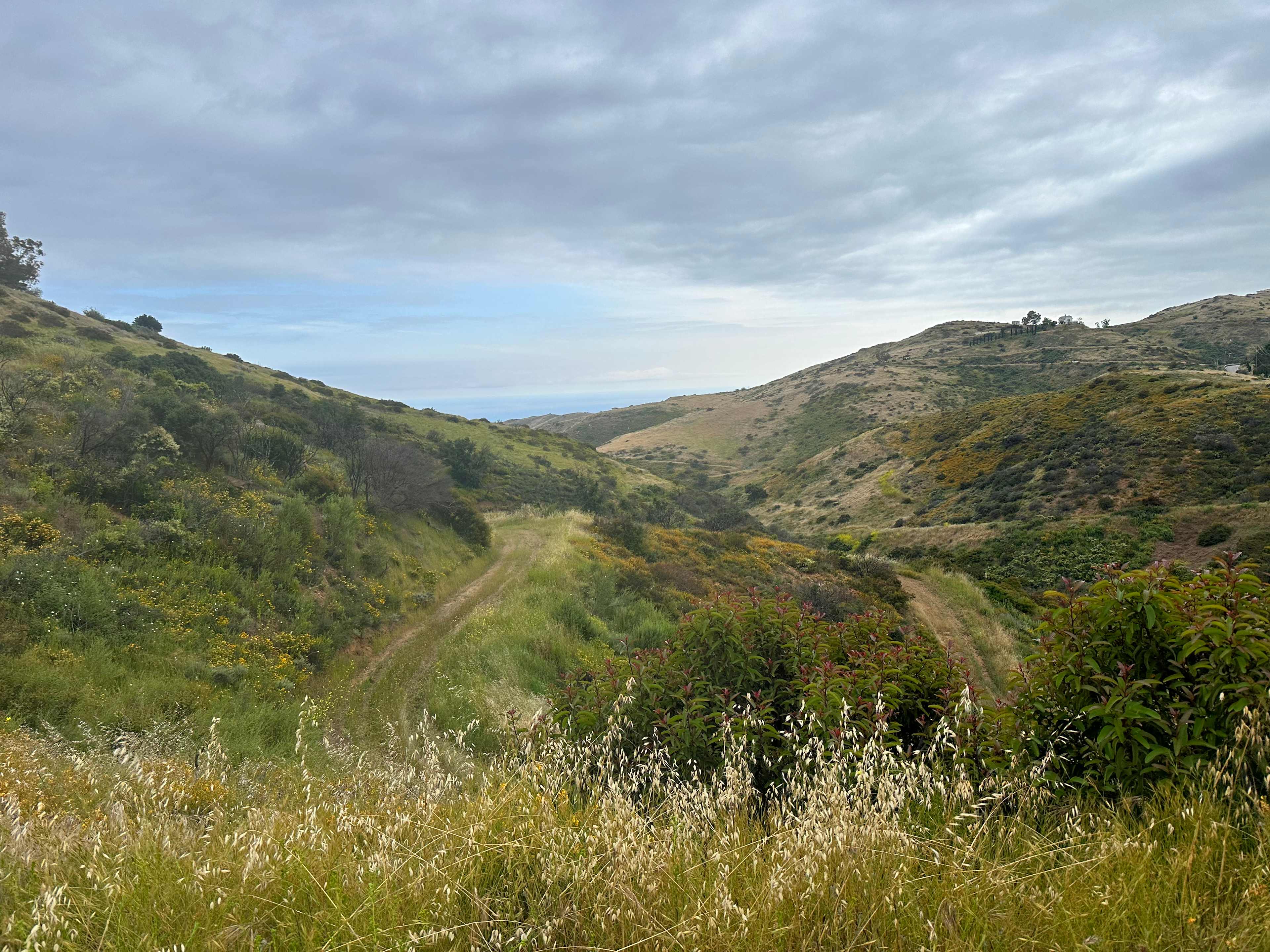The Lodge at Deer Creek
