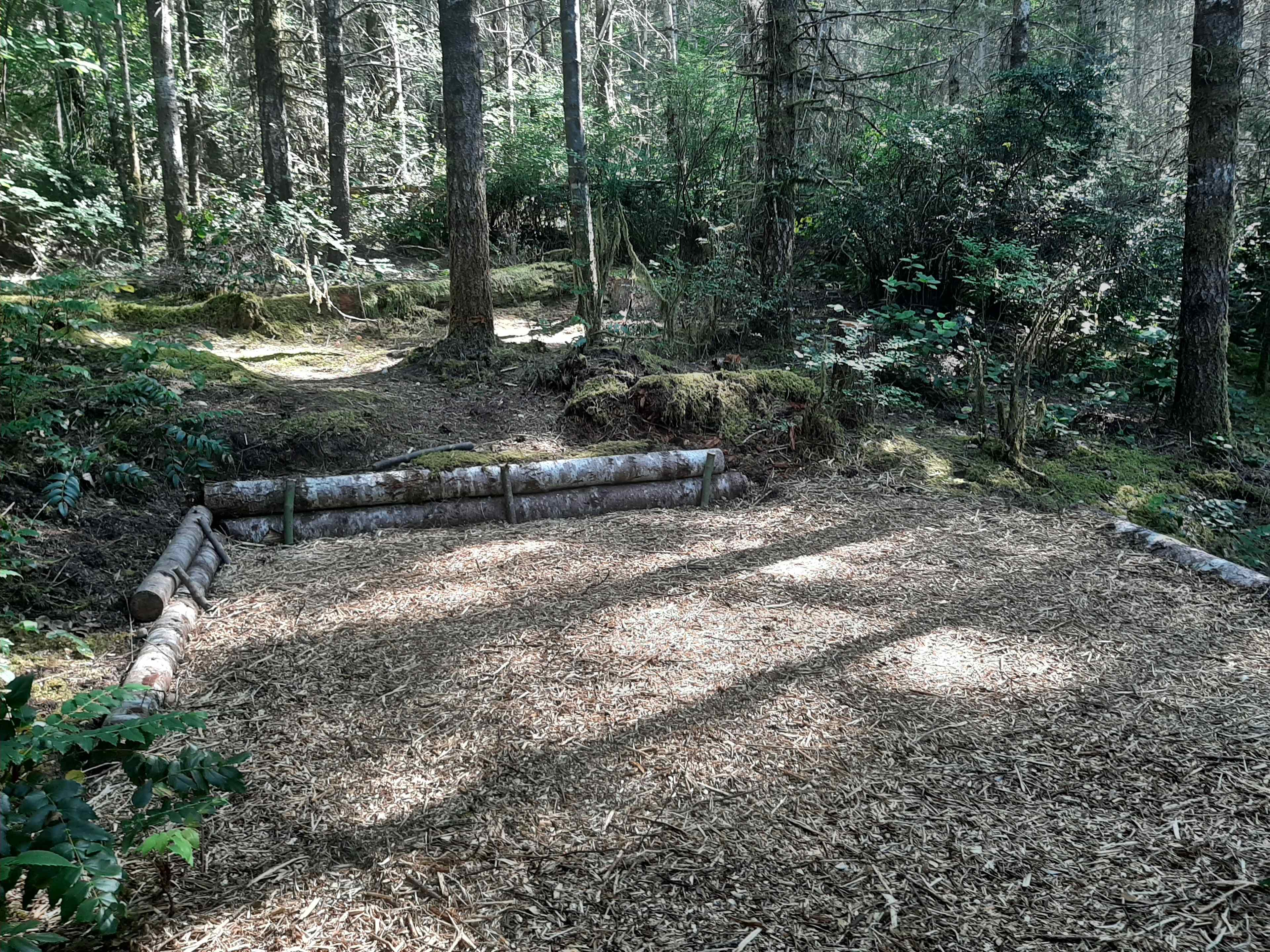 Elfendahl Forest