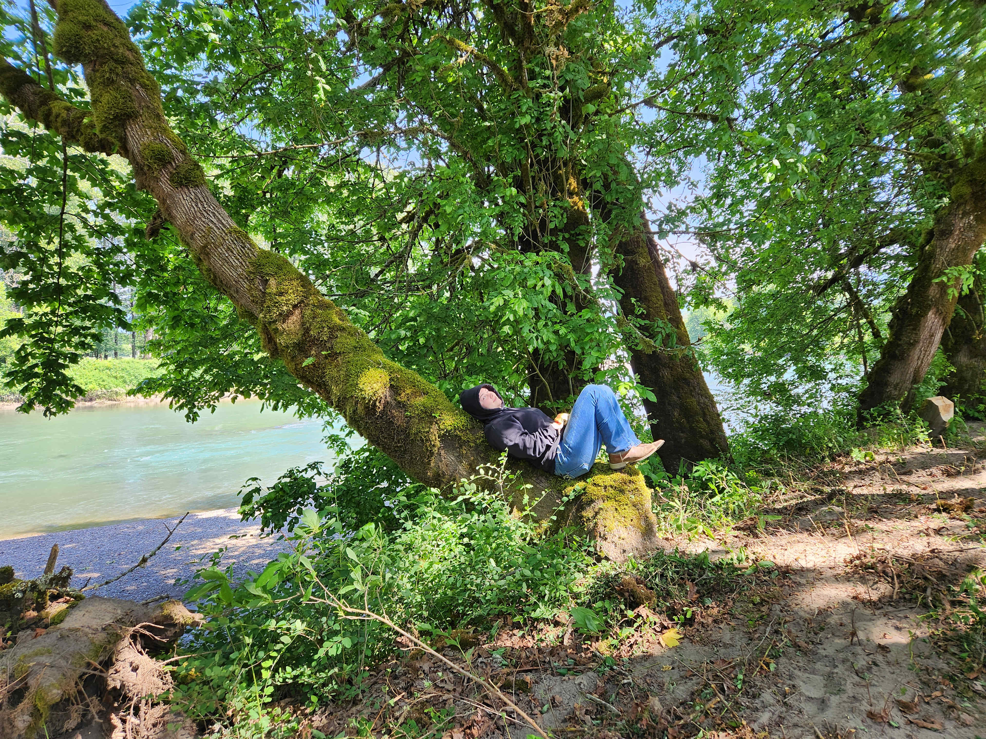 Cowlitz River Rentals