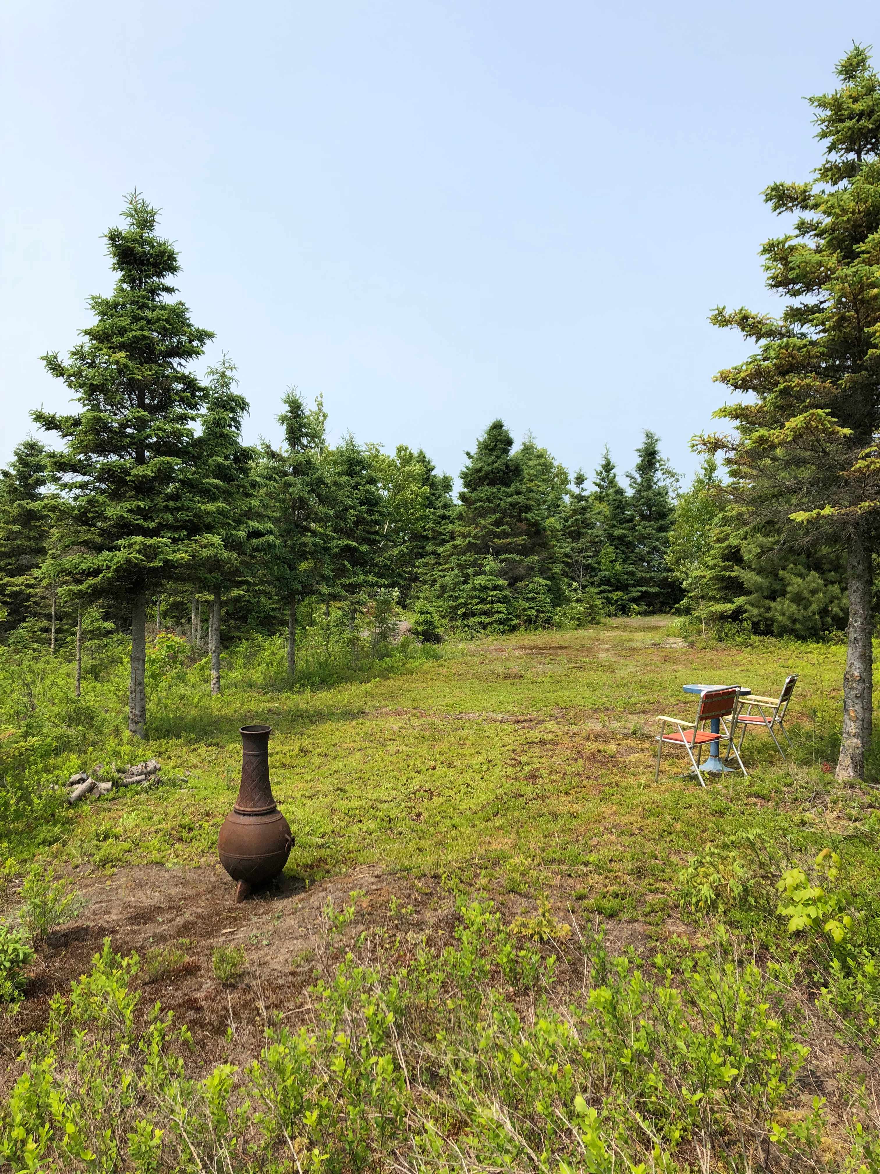 Blueberry Hills