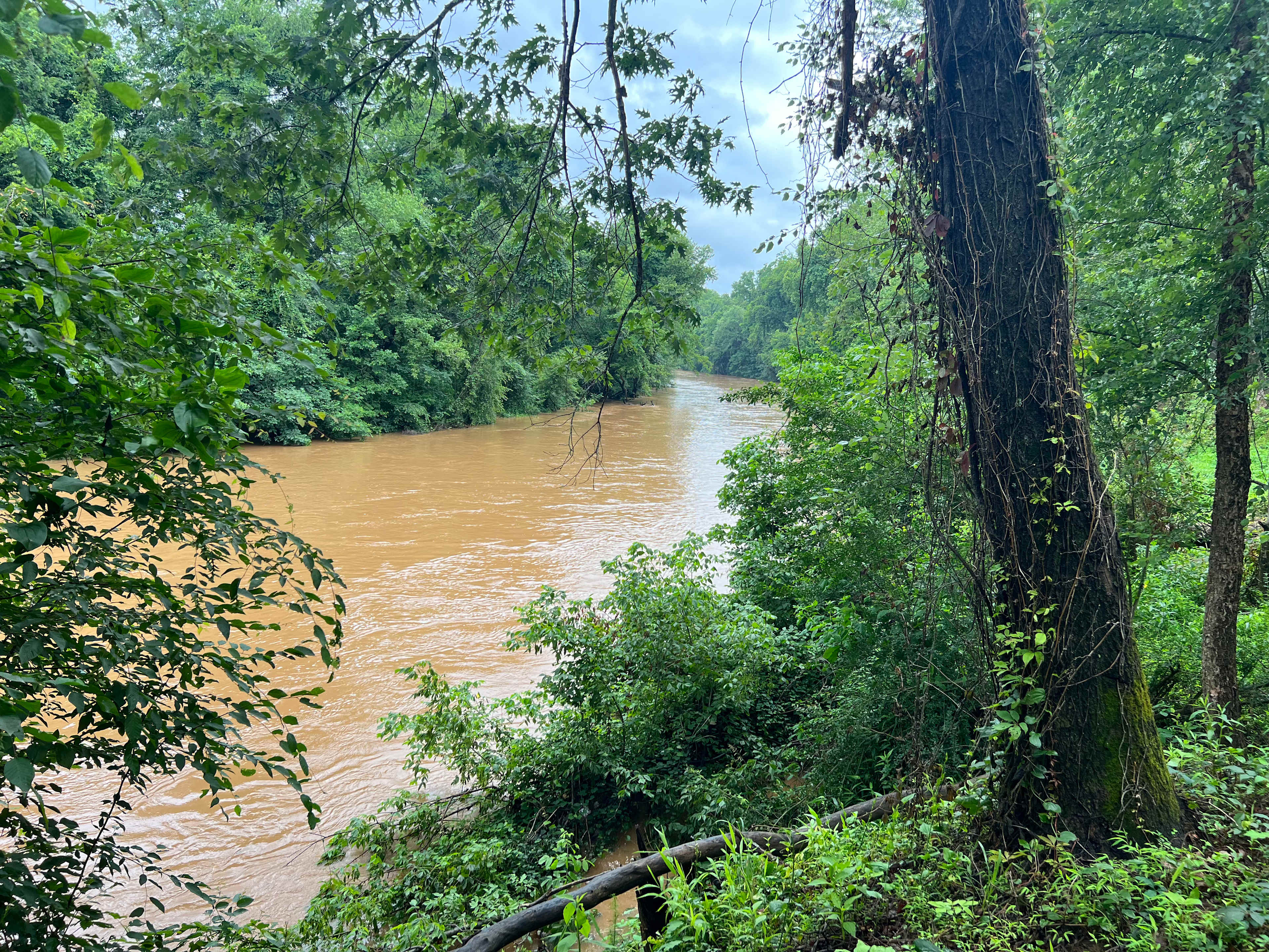 River was a bit high during our visit. We kayaked anyway and it was great.