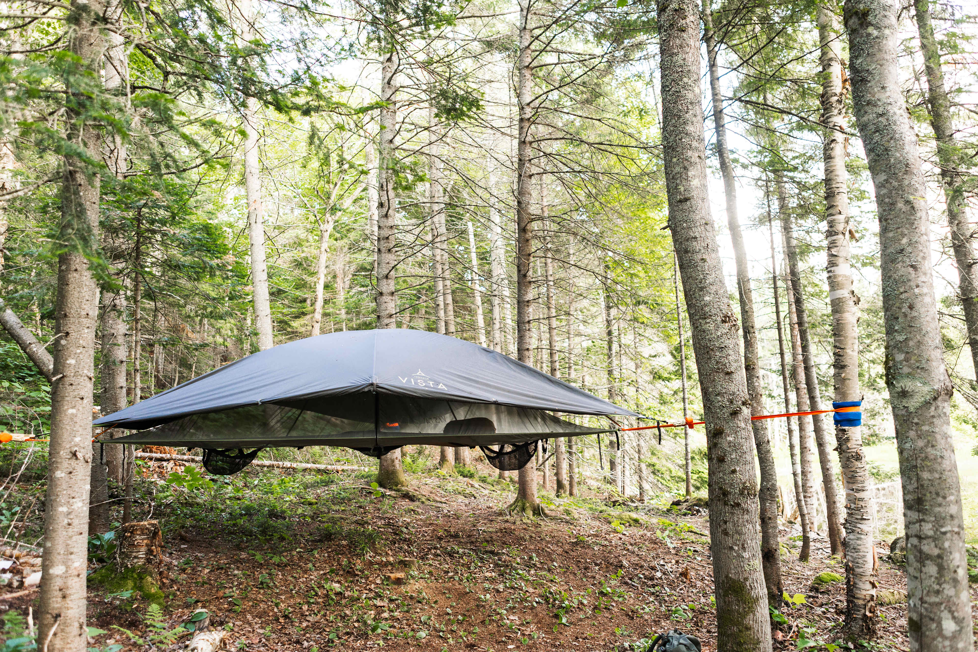 suspended tree tent 