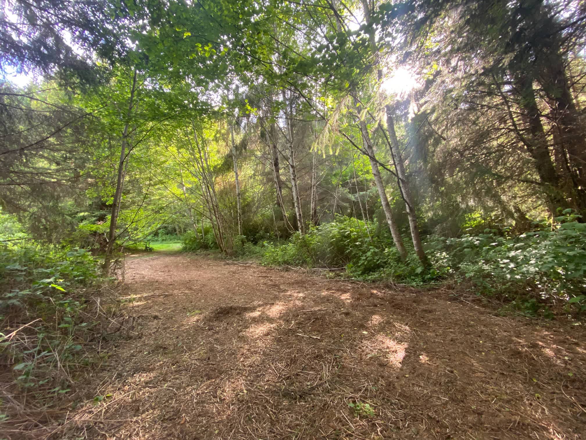 Mystic Forest Campground