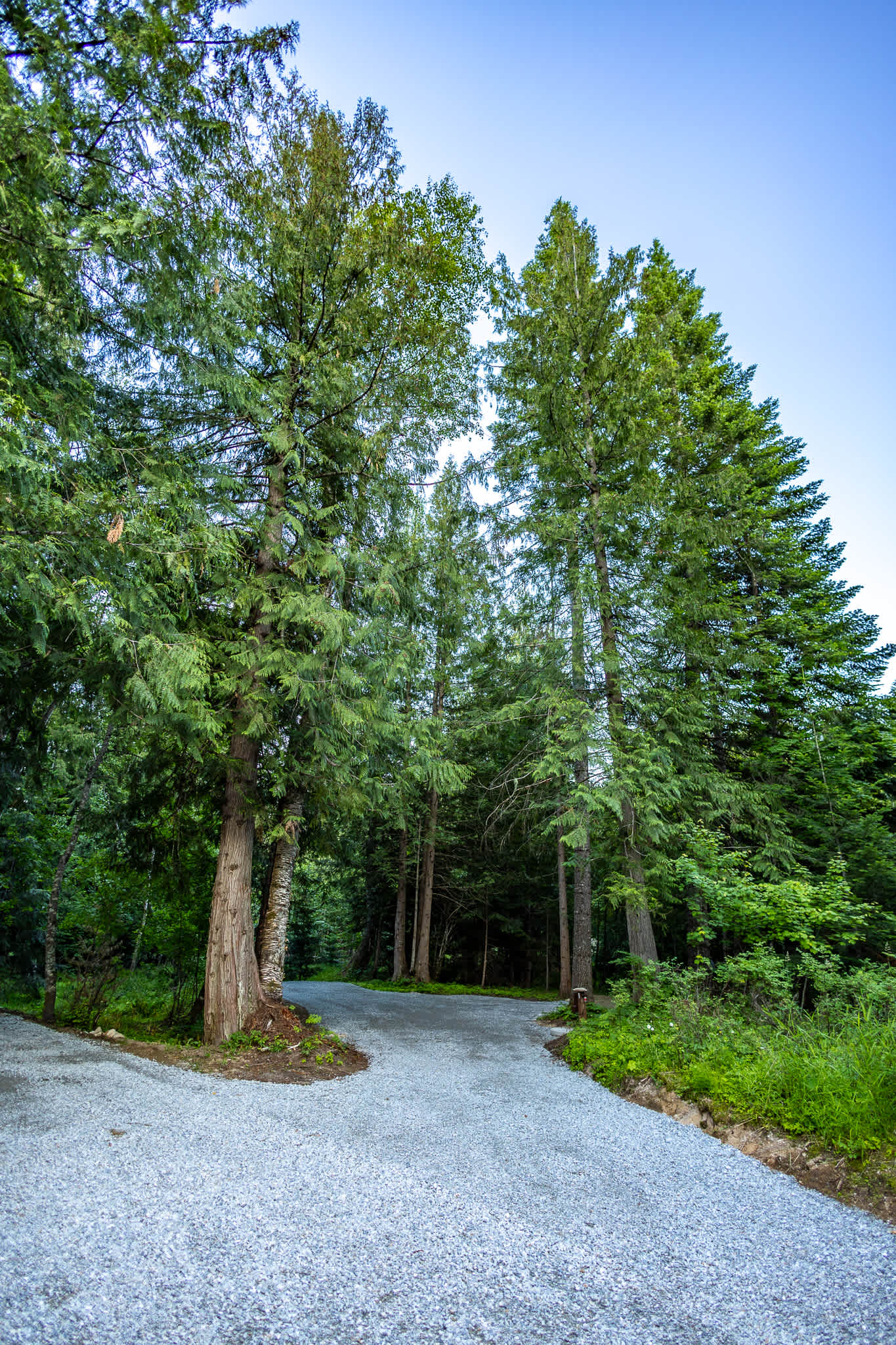 Turnipseed Creek Campsites