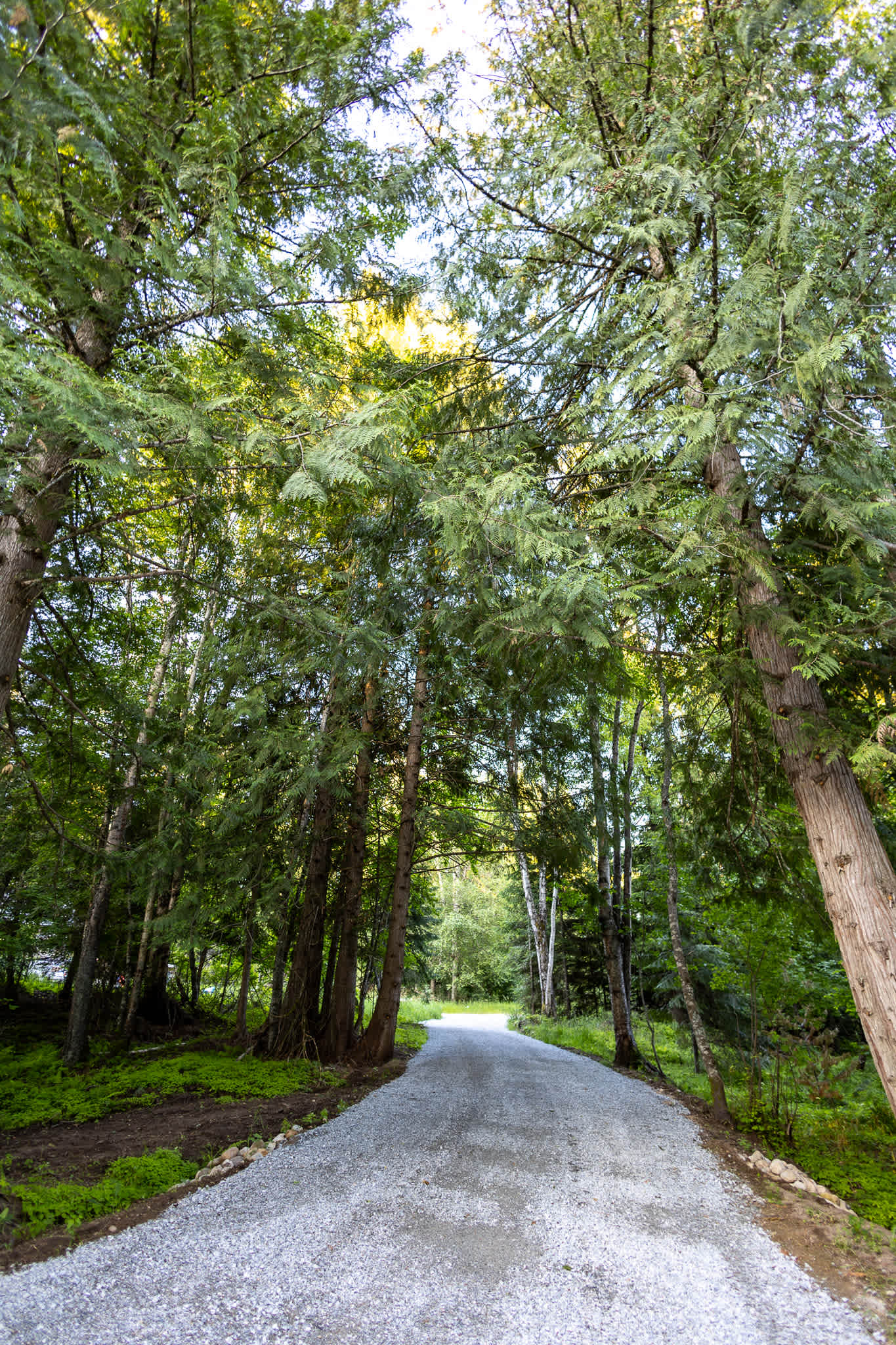 Turnipseed Creek Campsites