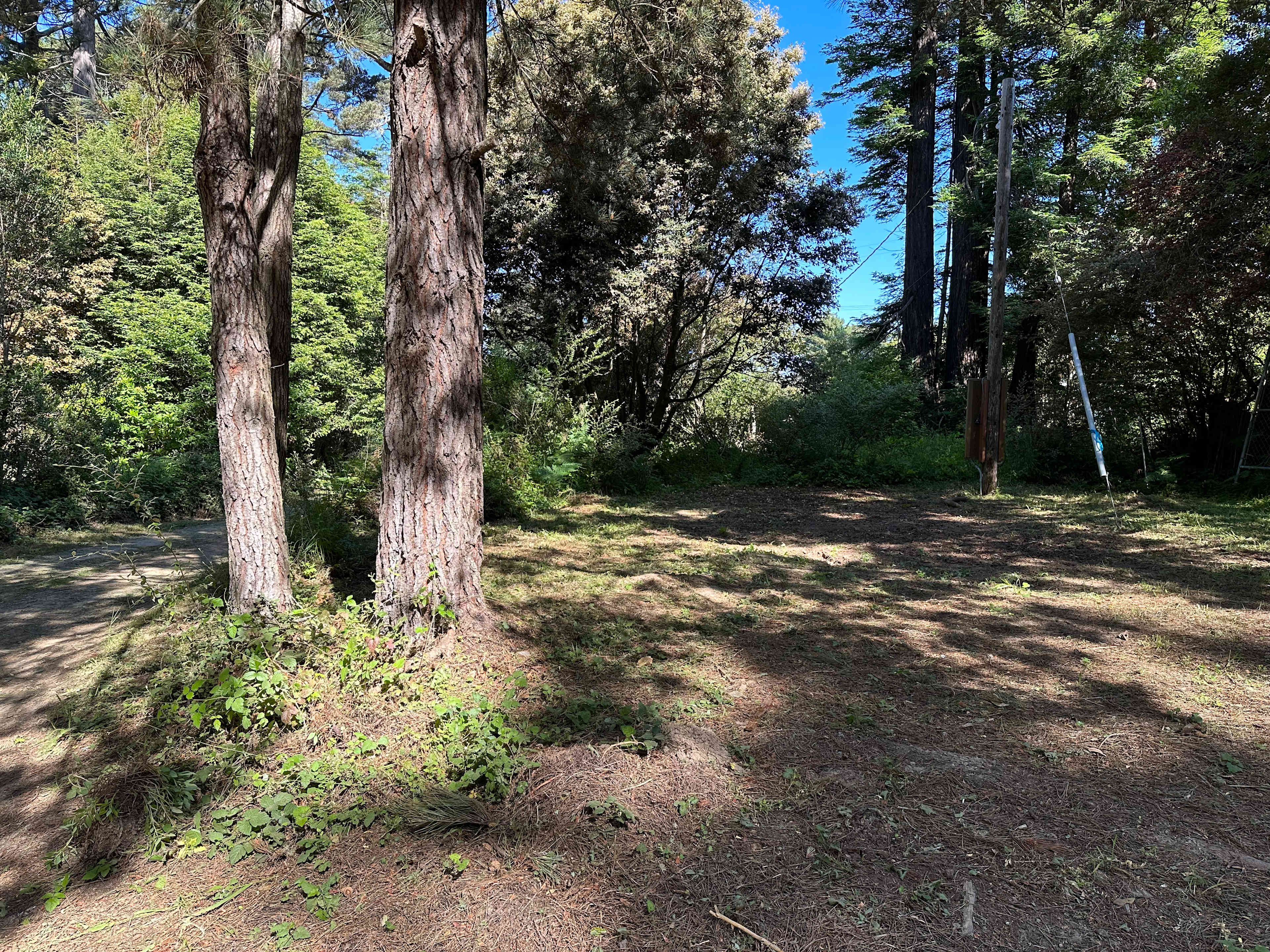 View from the lane to the RV site.