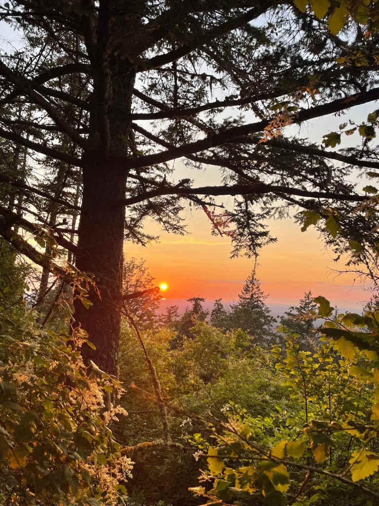 Sunset  Ridge