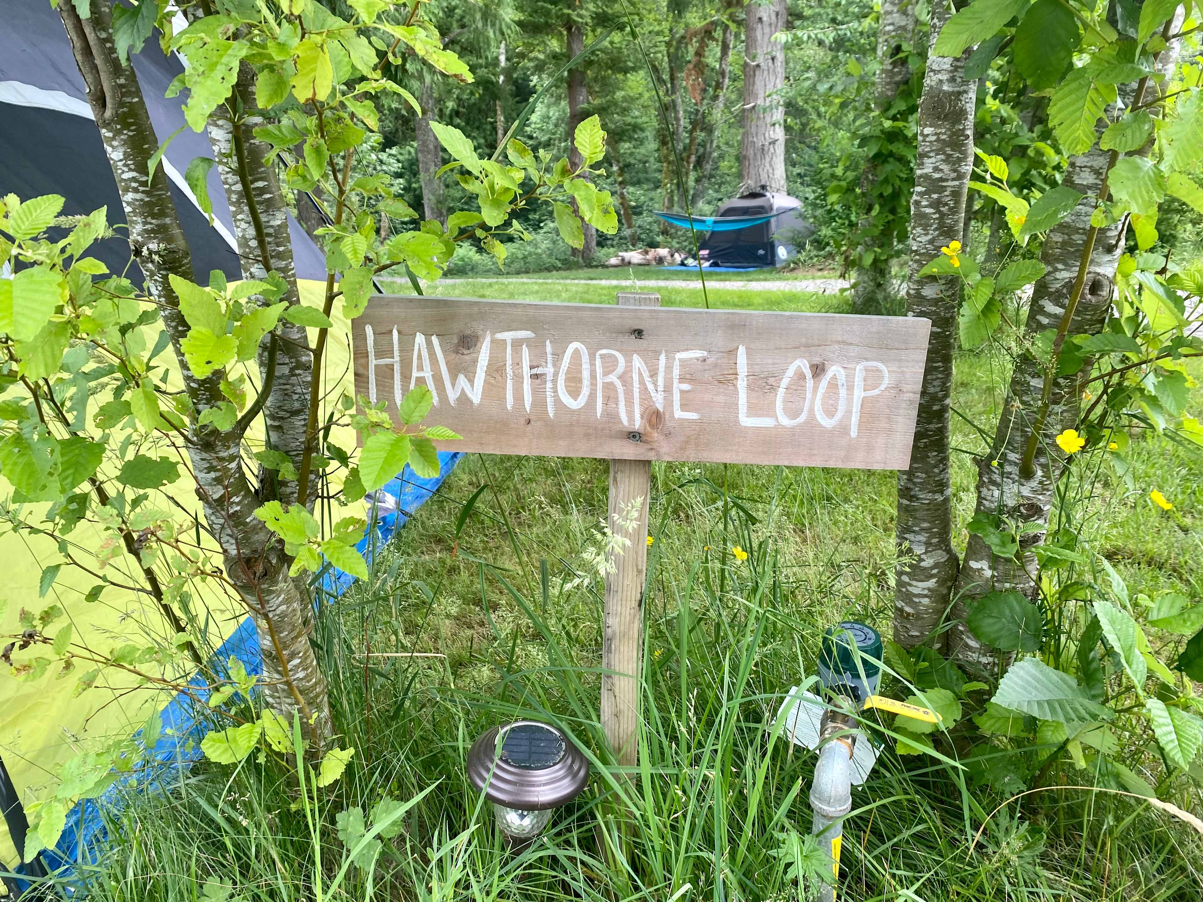 Rusty Ranch Tree Farm and Forest