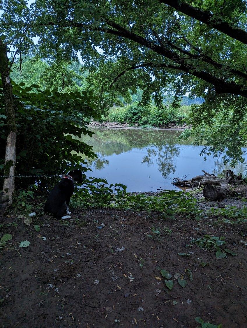 Fombell Landing
