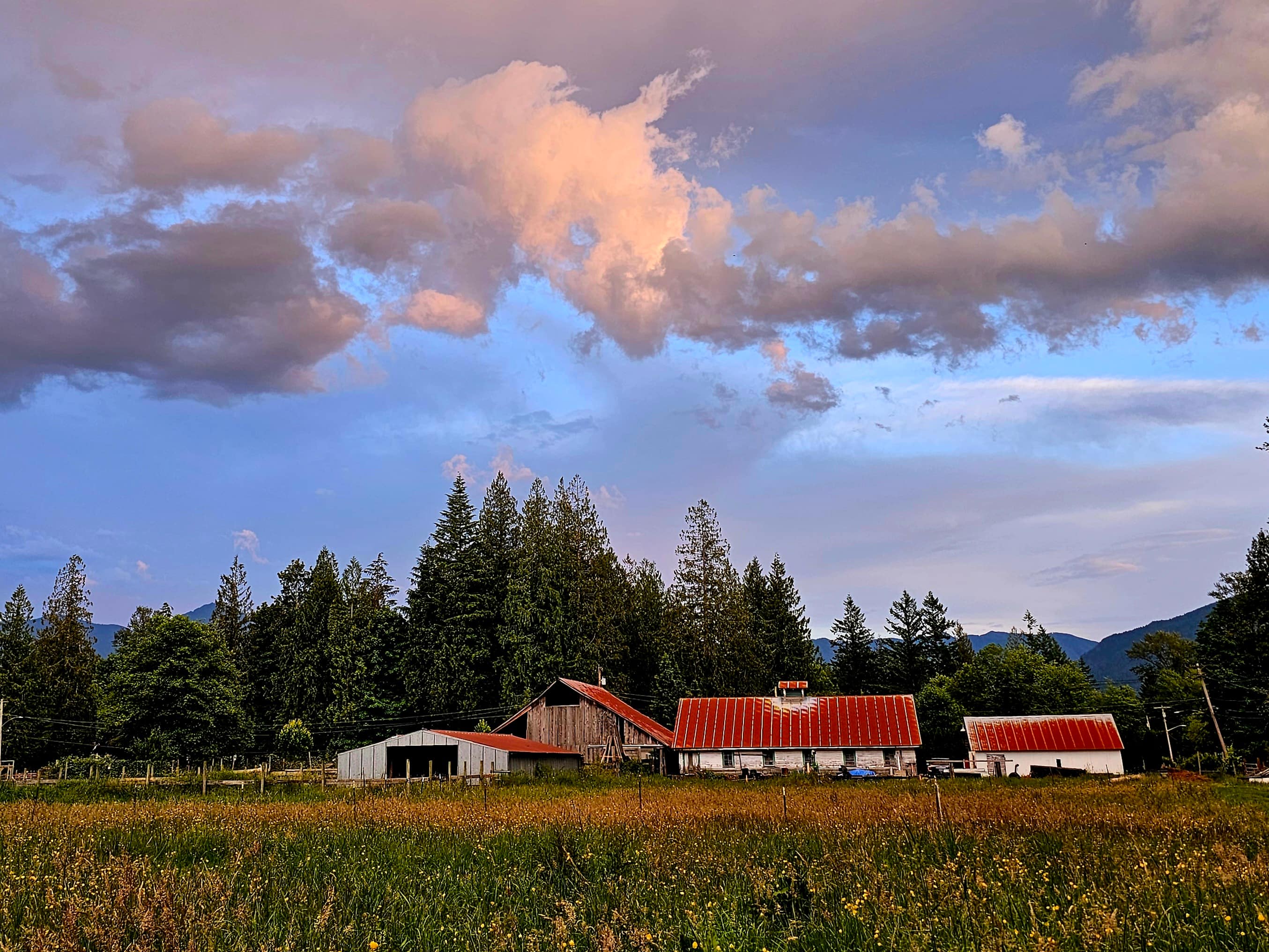 Farm 108