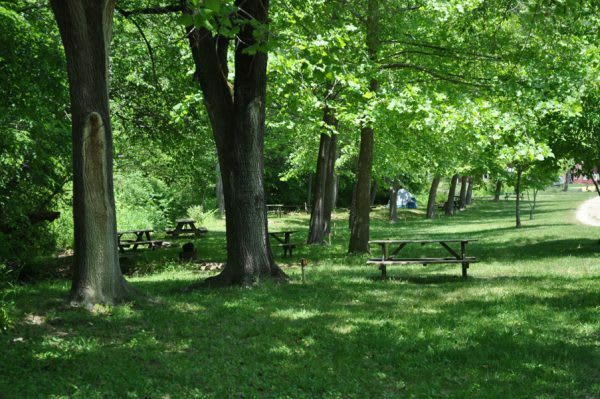 Picture of the site