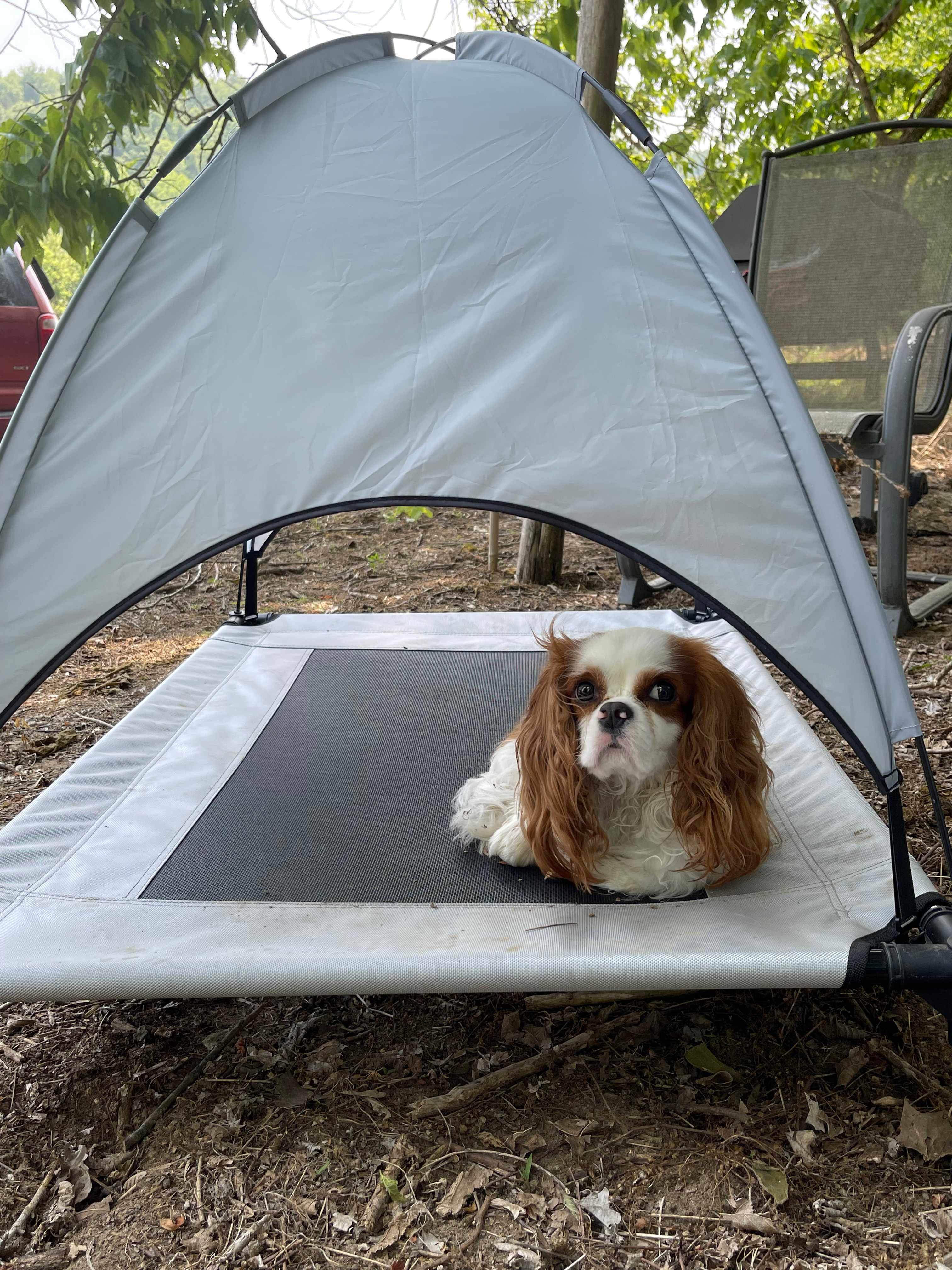 Pitch your tent and relax !