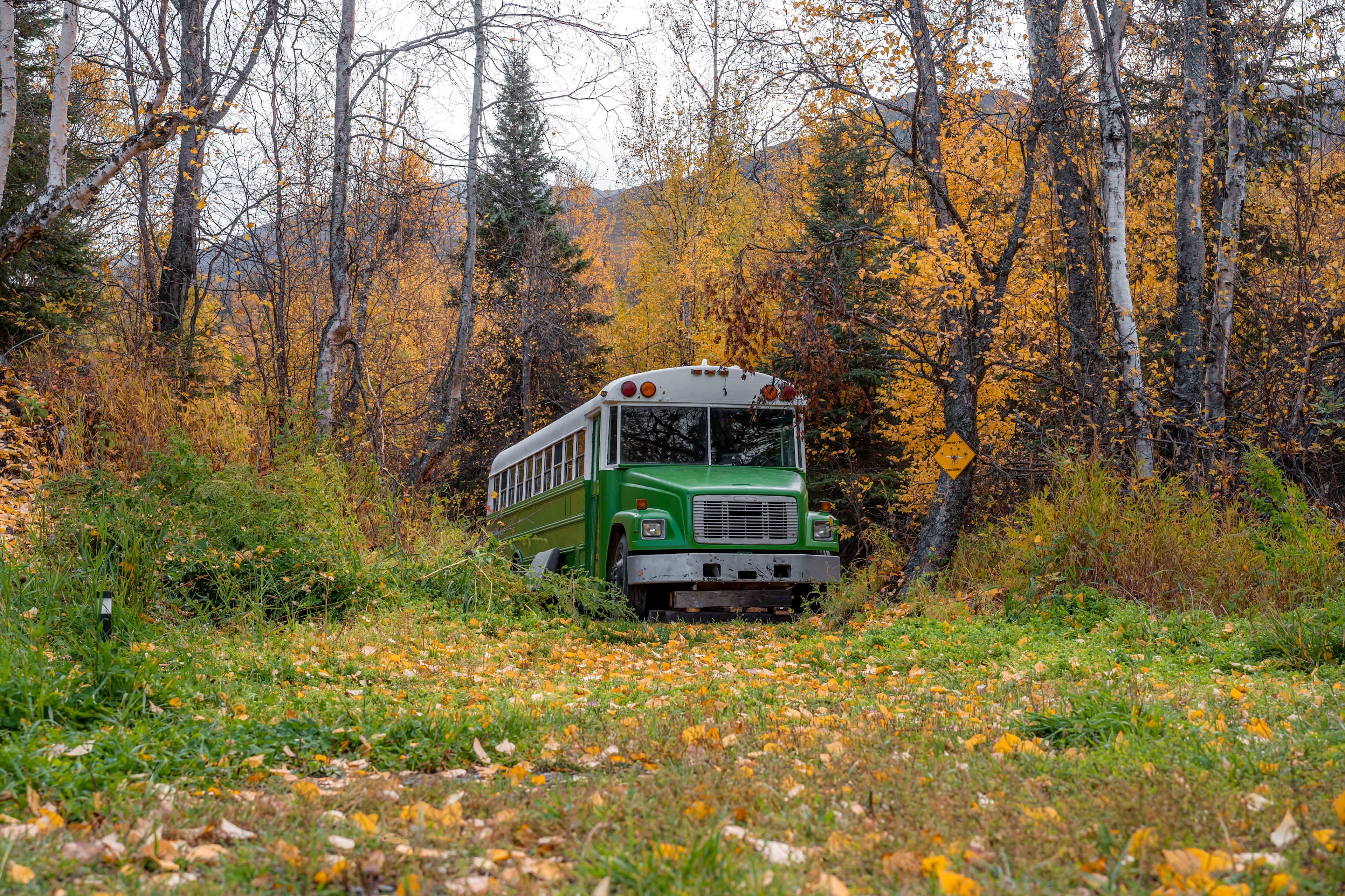 Alaskan Adventure Haven