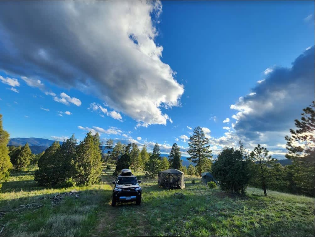 Serenity in the Foothills