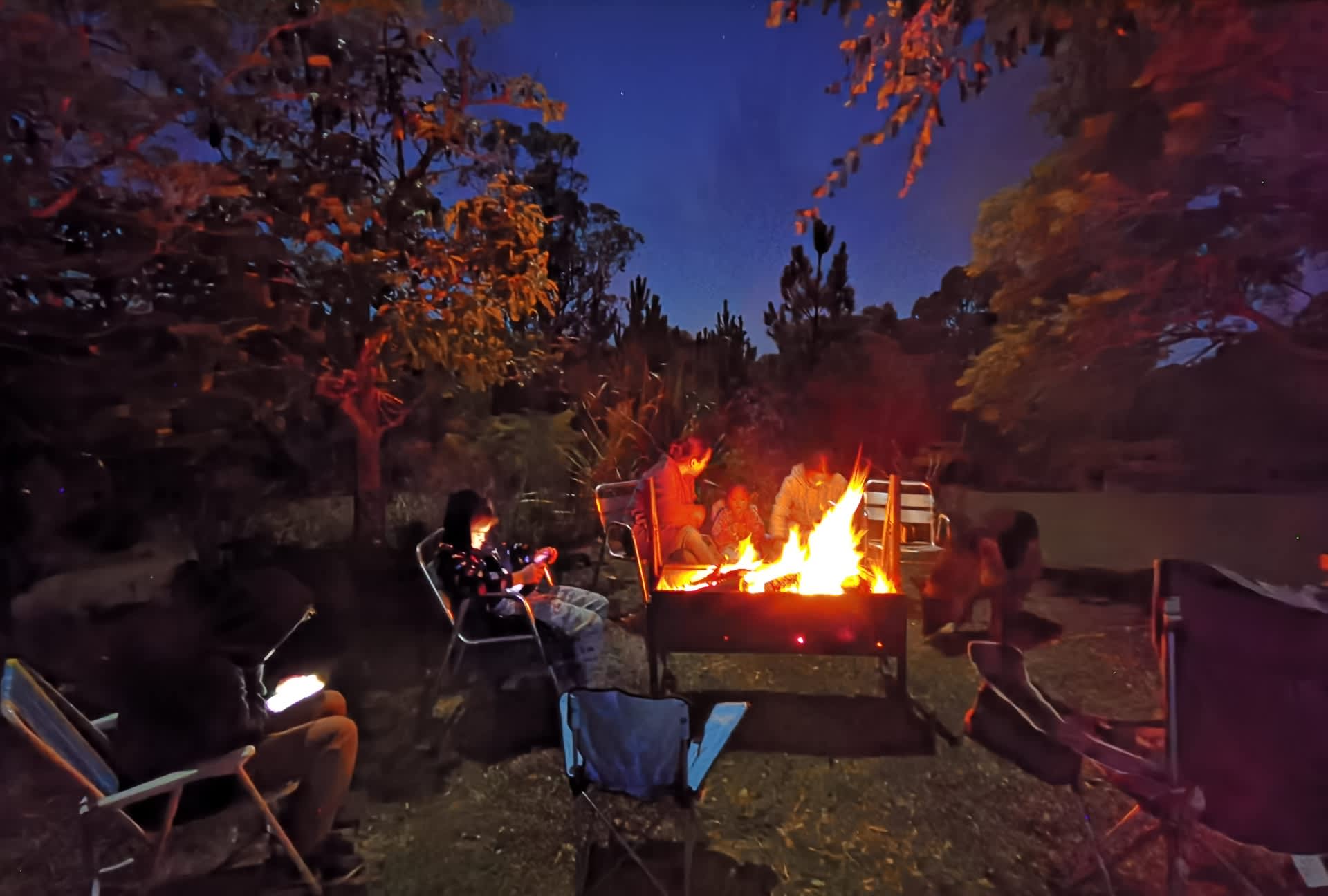 Fame Mountain Camp - pets welcome