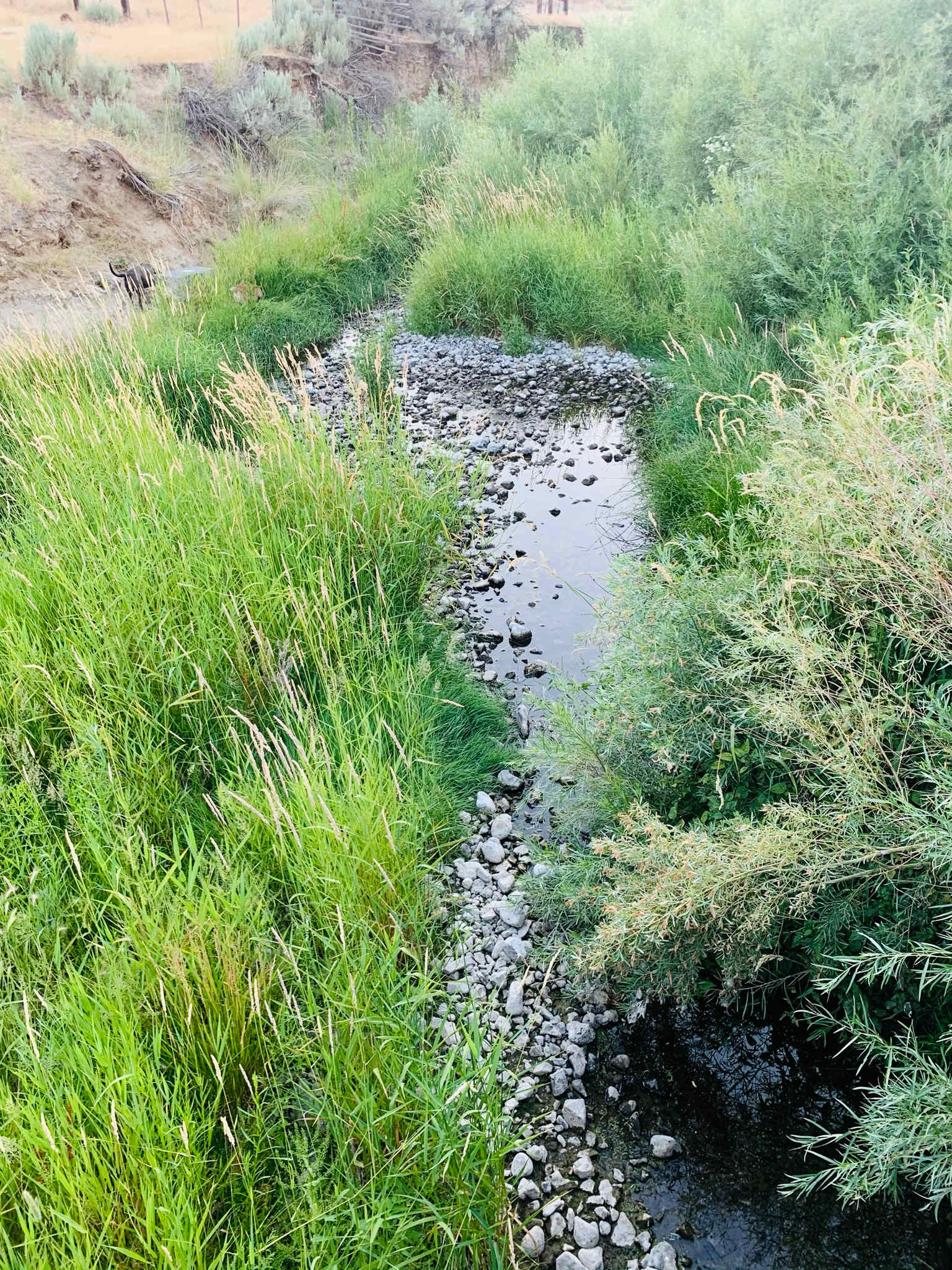 Picture of the site