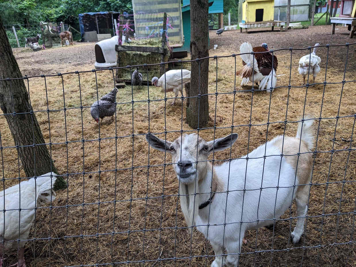 Legacy Farms Leisure Area