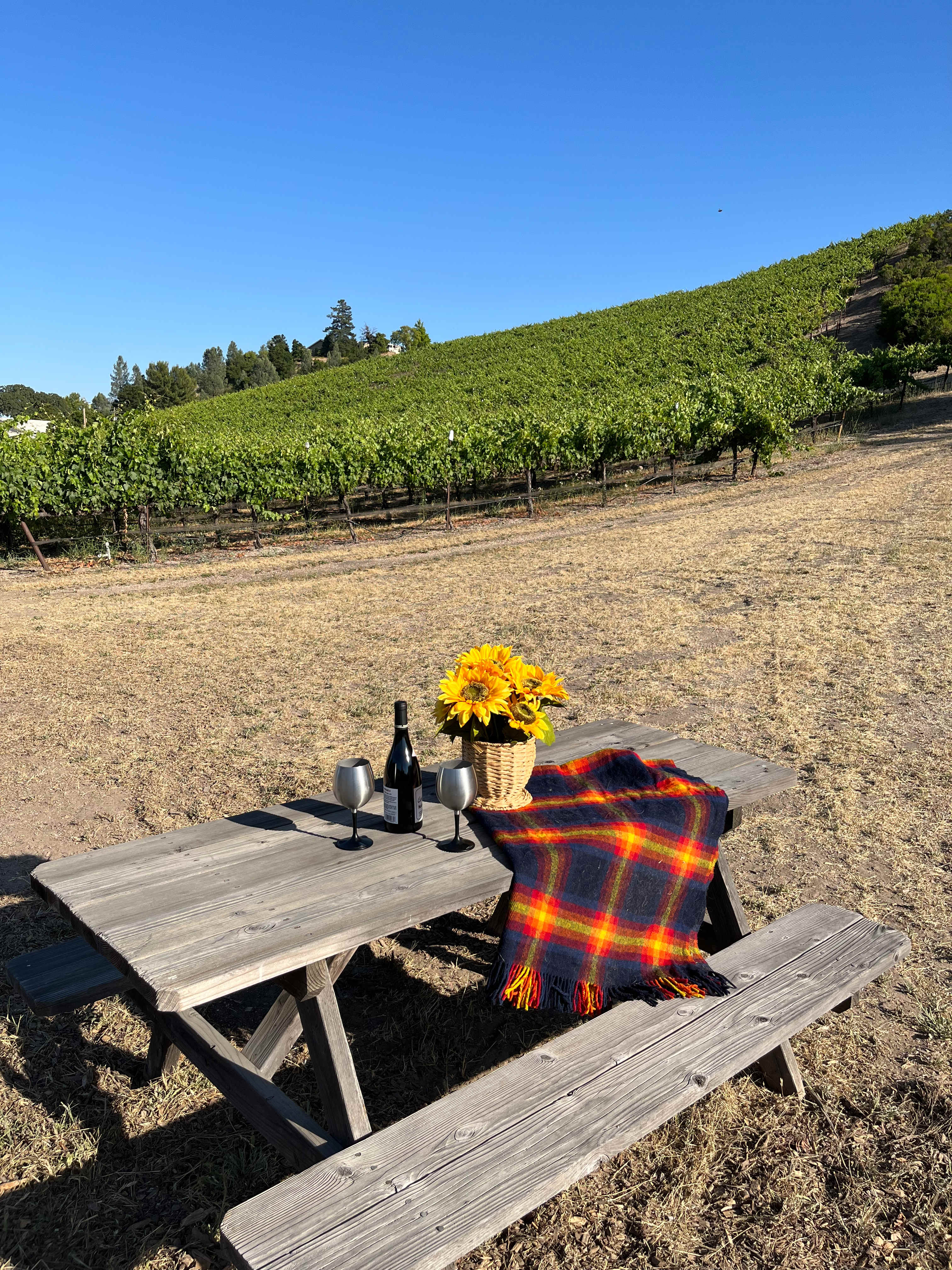 Historic Truck Farm Vineyard