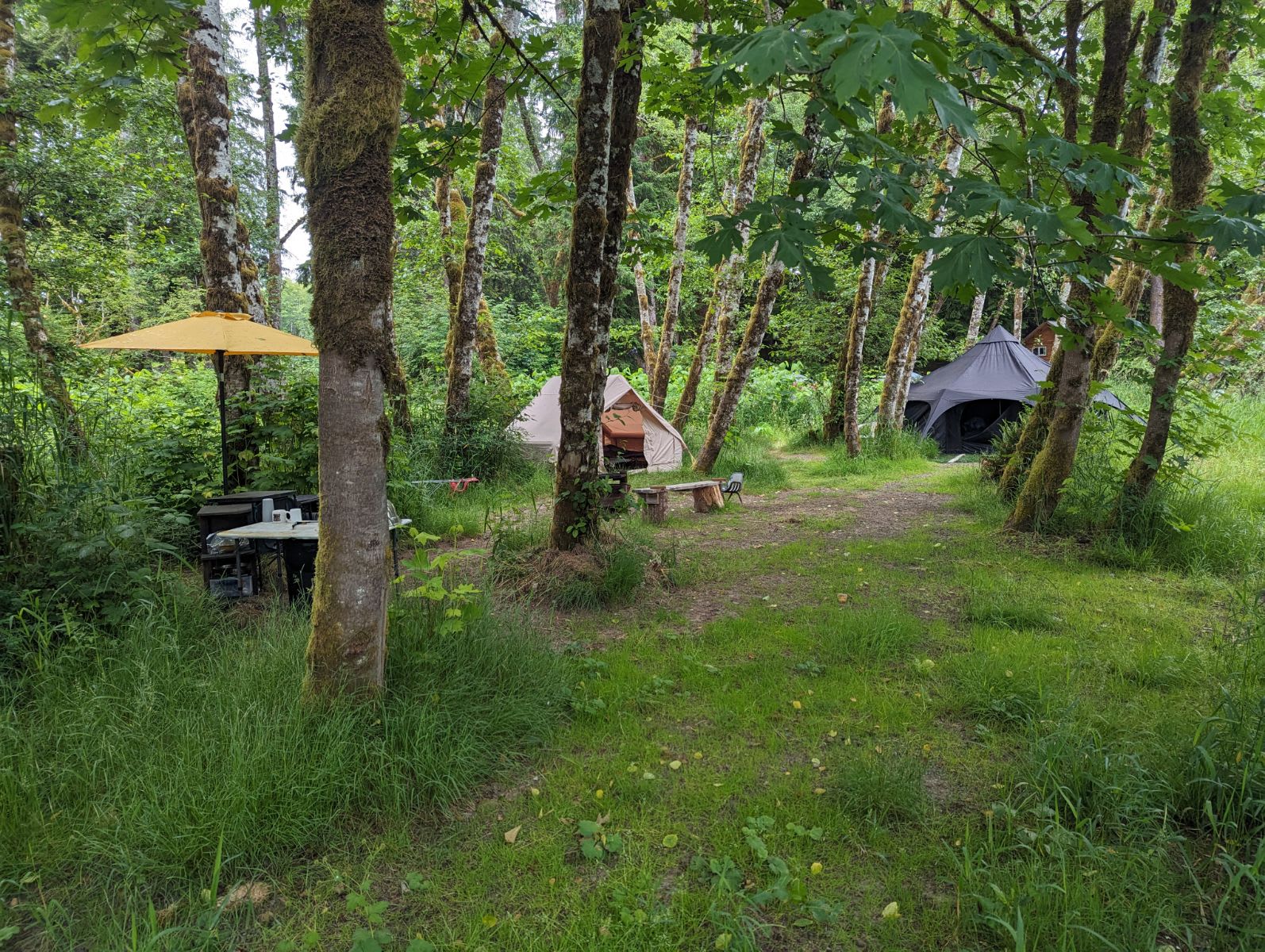 Very secluded location