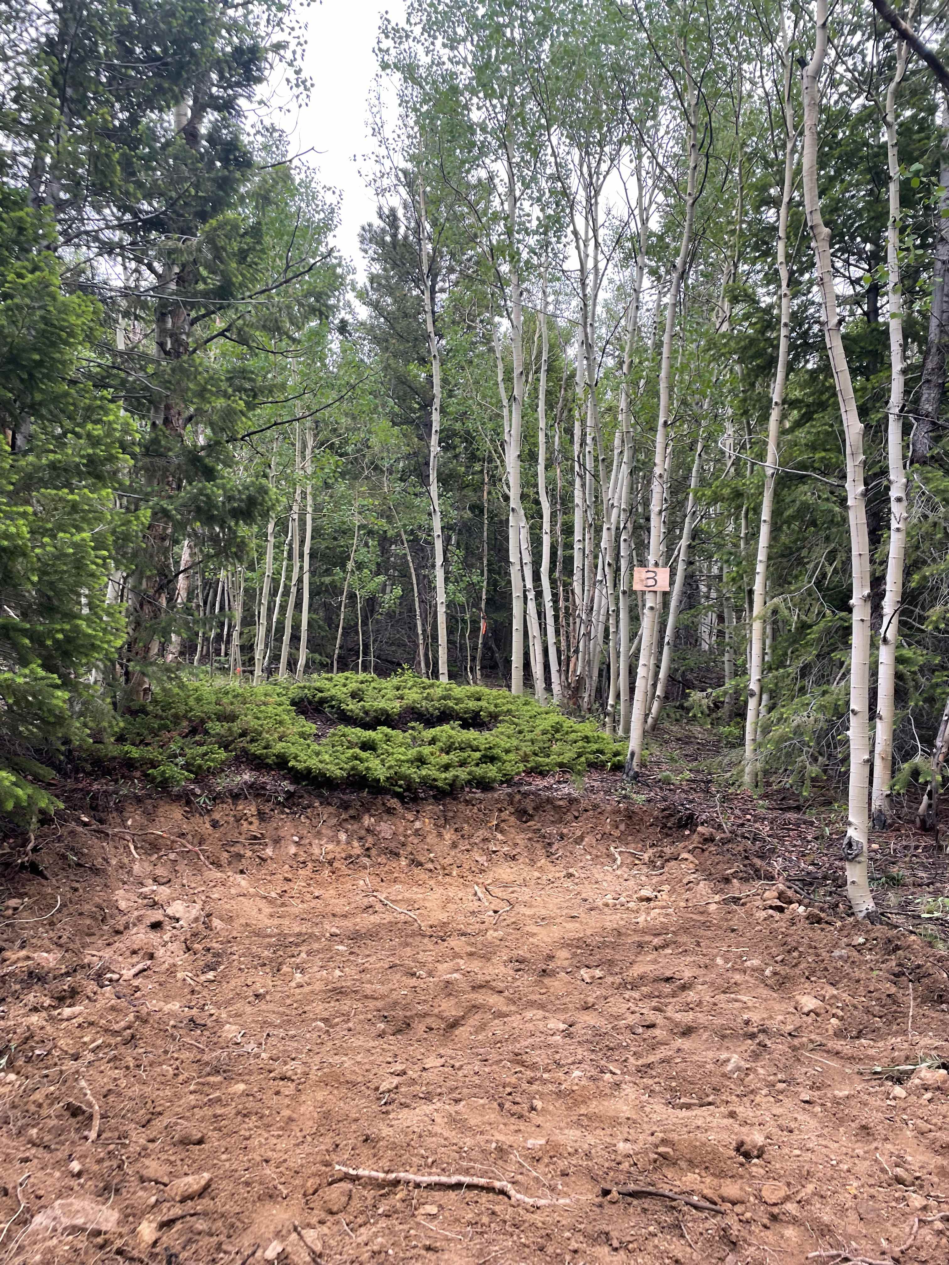 Prospector’s Rush
