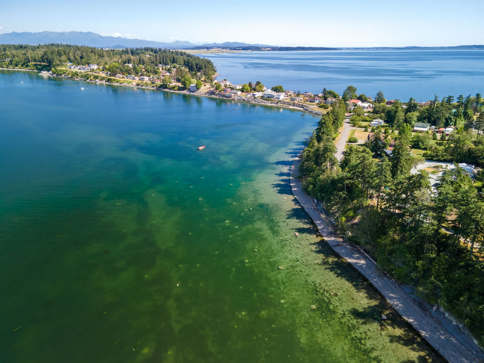 Samish Island Bluff