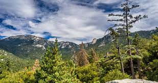 Idyllwild Camp