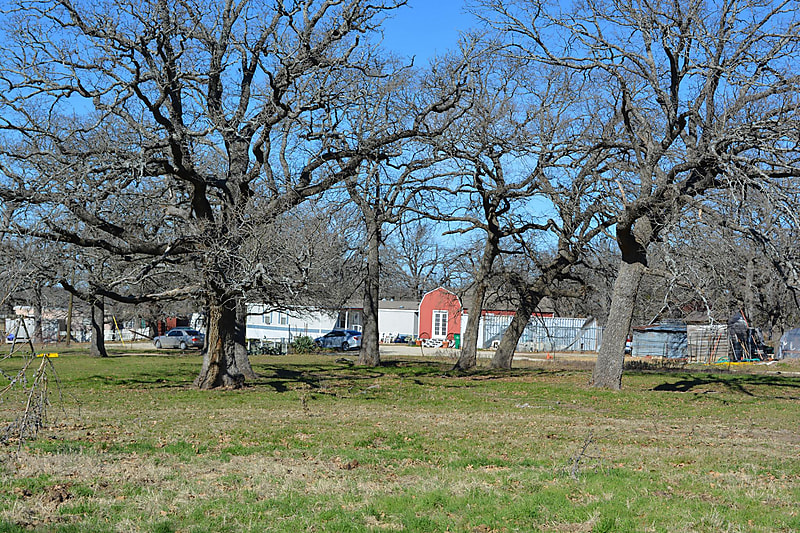 Patton's Four Oaks Farm
