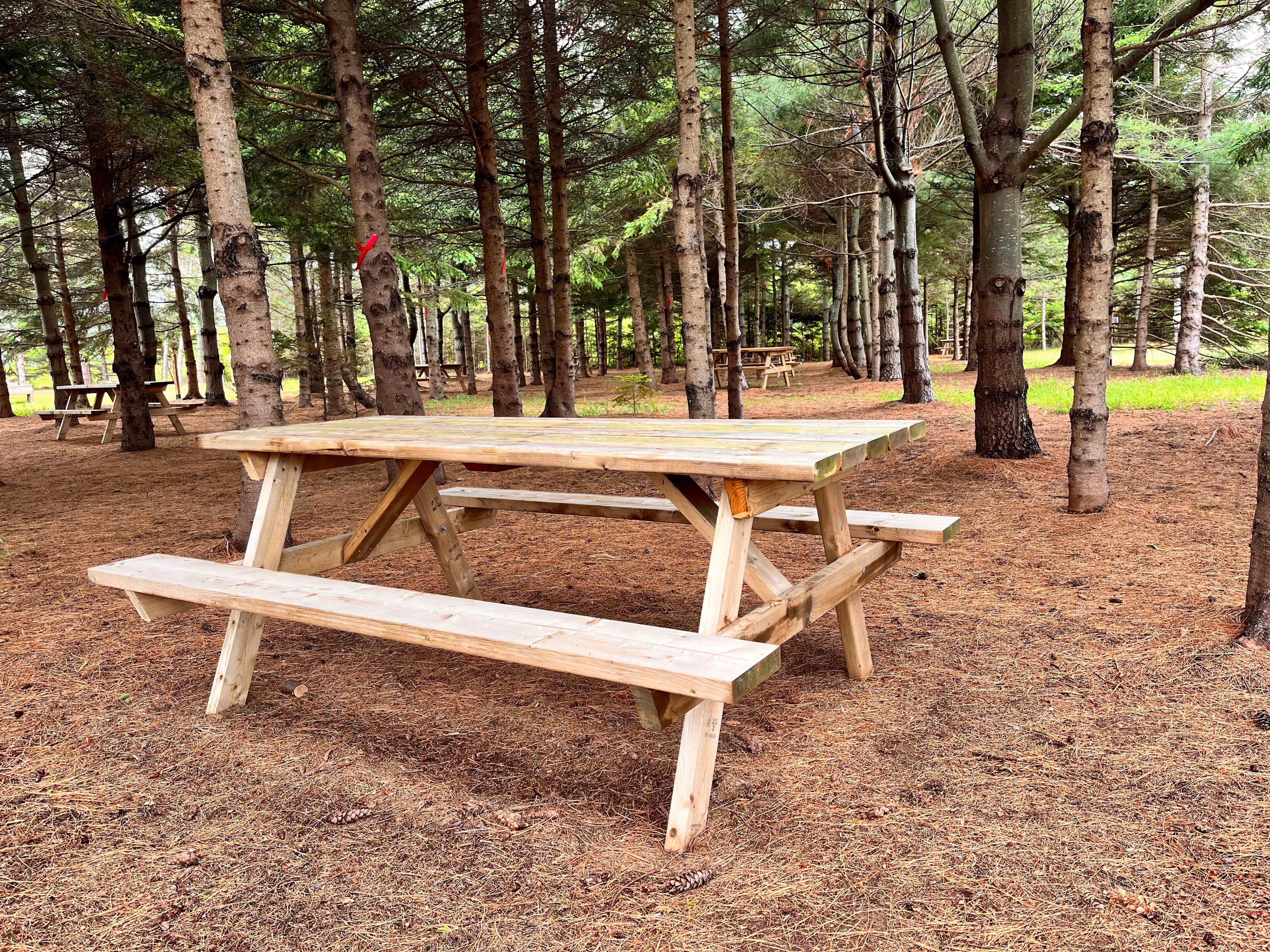 The Red Fox Campground