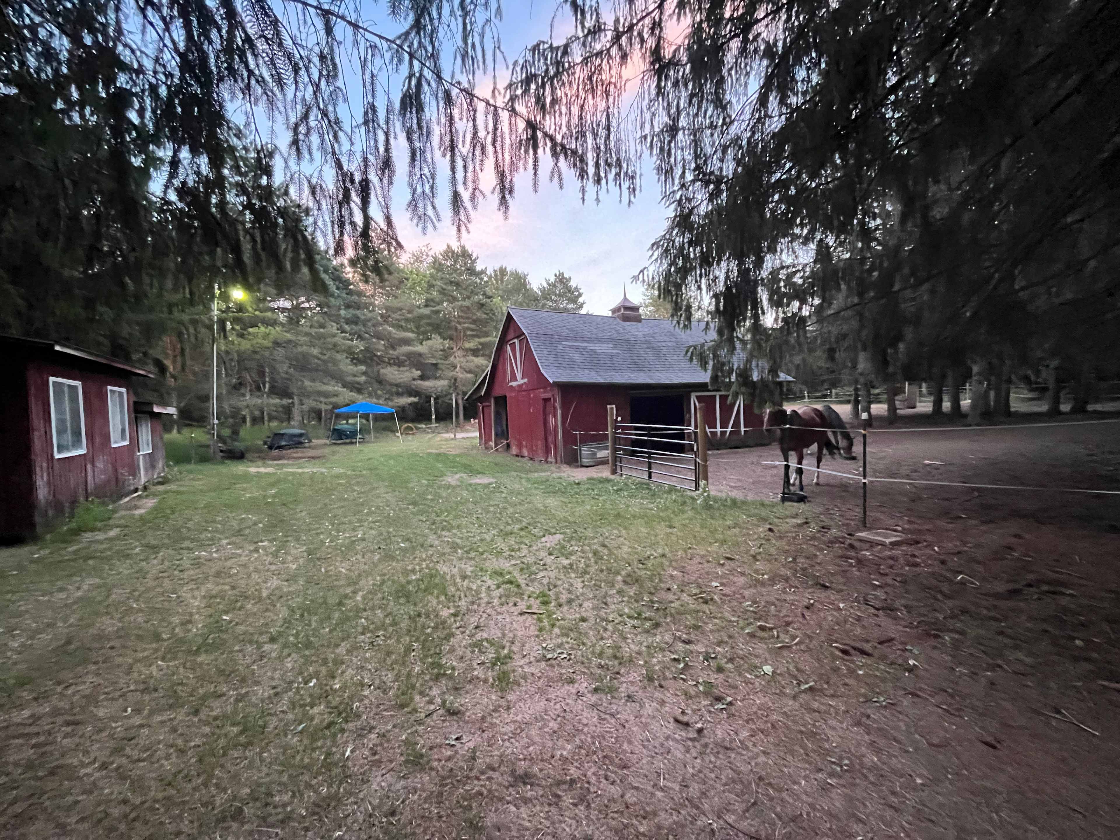 Pull through barn yard