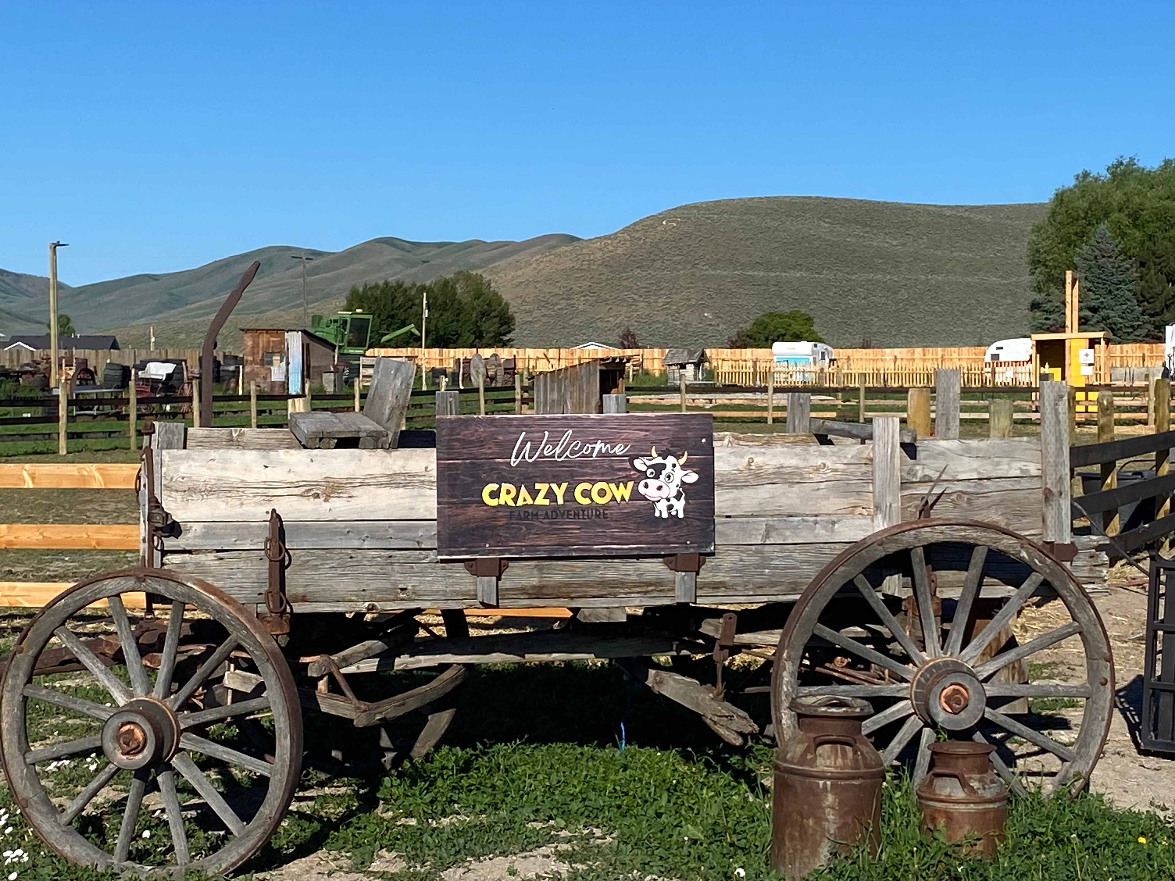 Crazy Cow Farm Adventures