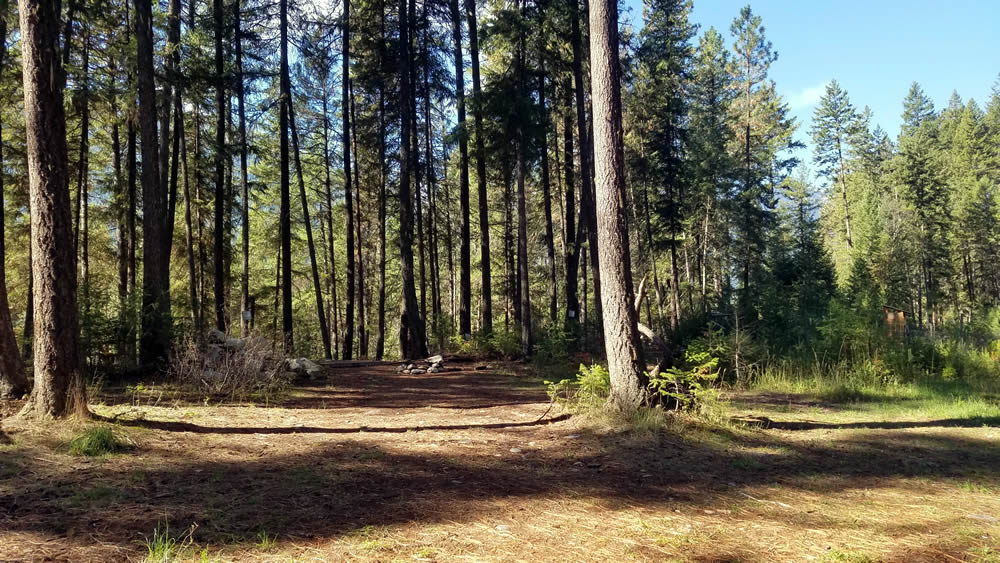 Tent Site 3