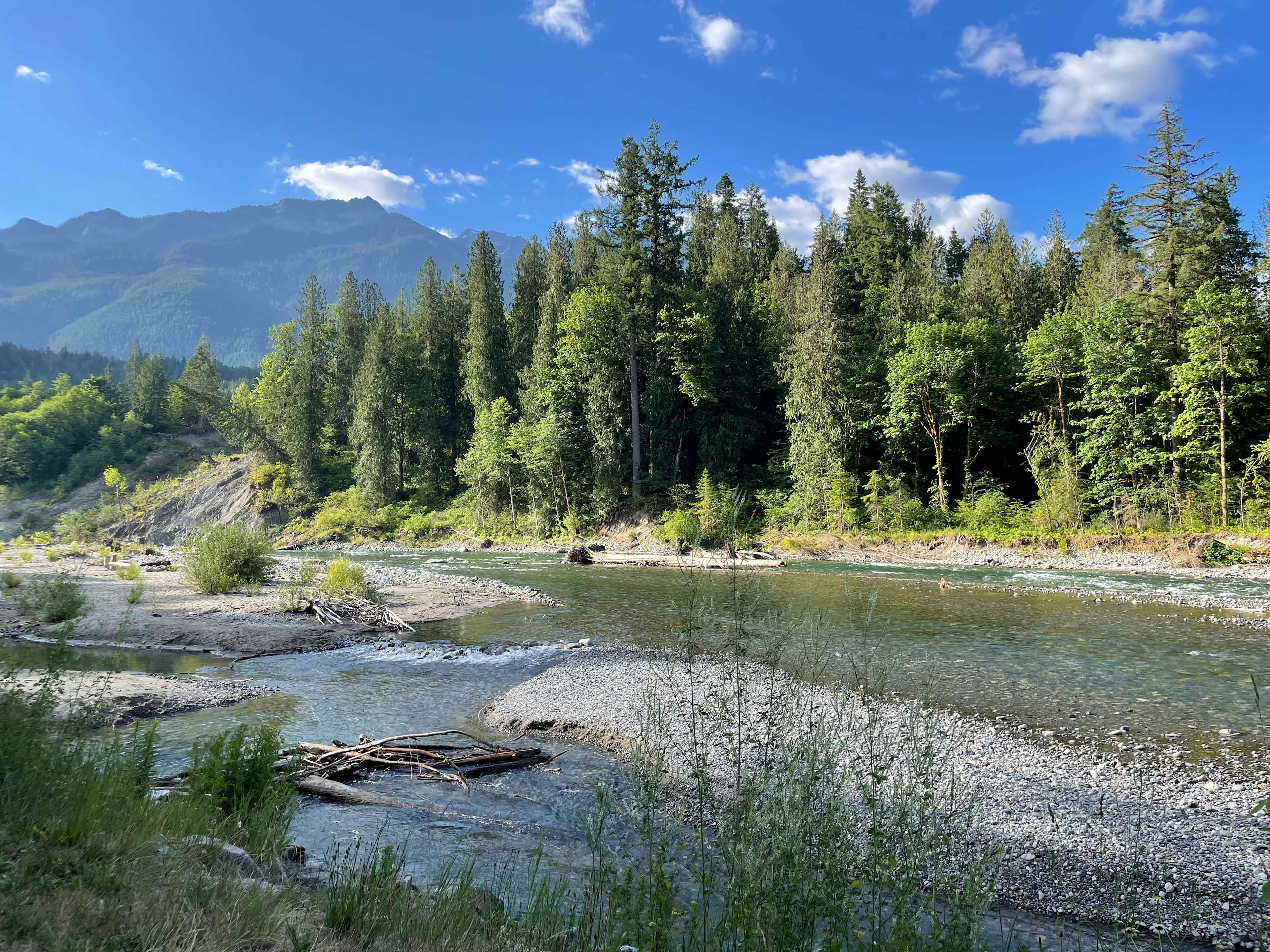 Living Large on Chilliwack River
