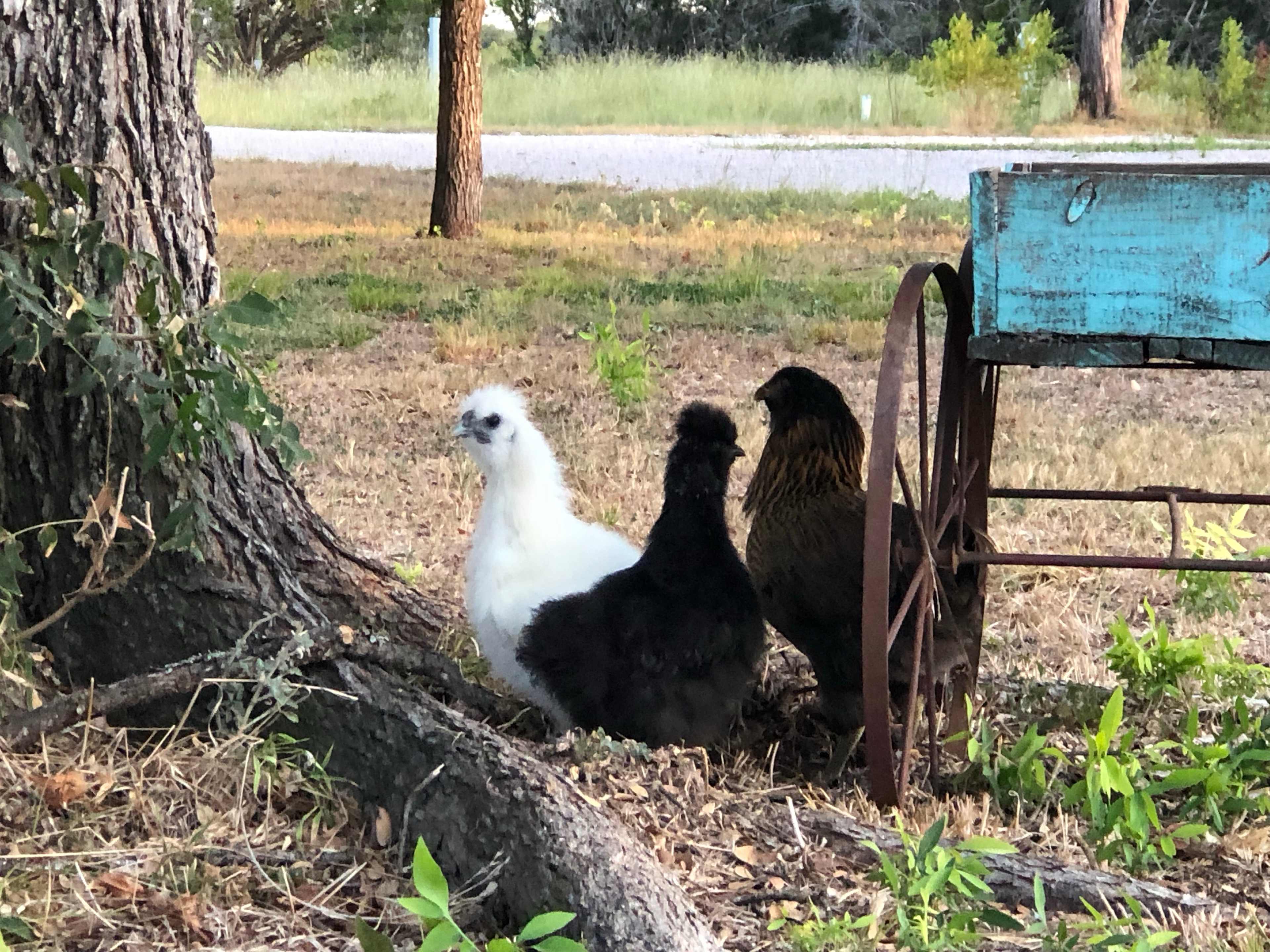 Cedar Bend RV Park
