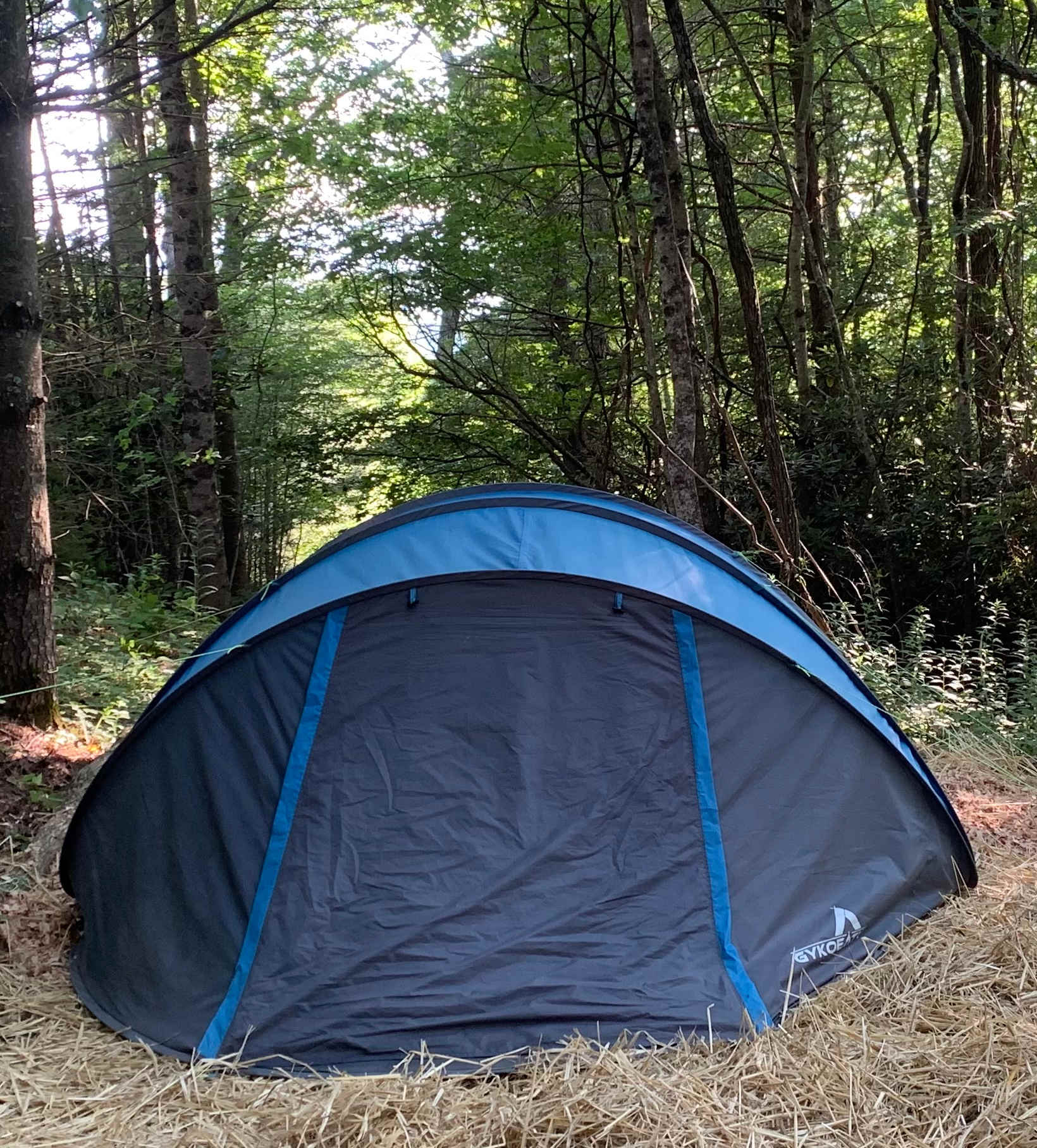 This is a 6 person tent, so plenty of room for a very large tent or 2 medium sized tents. 