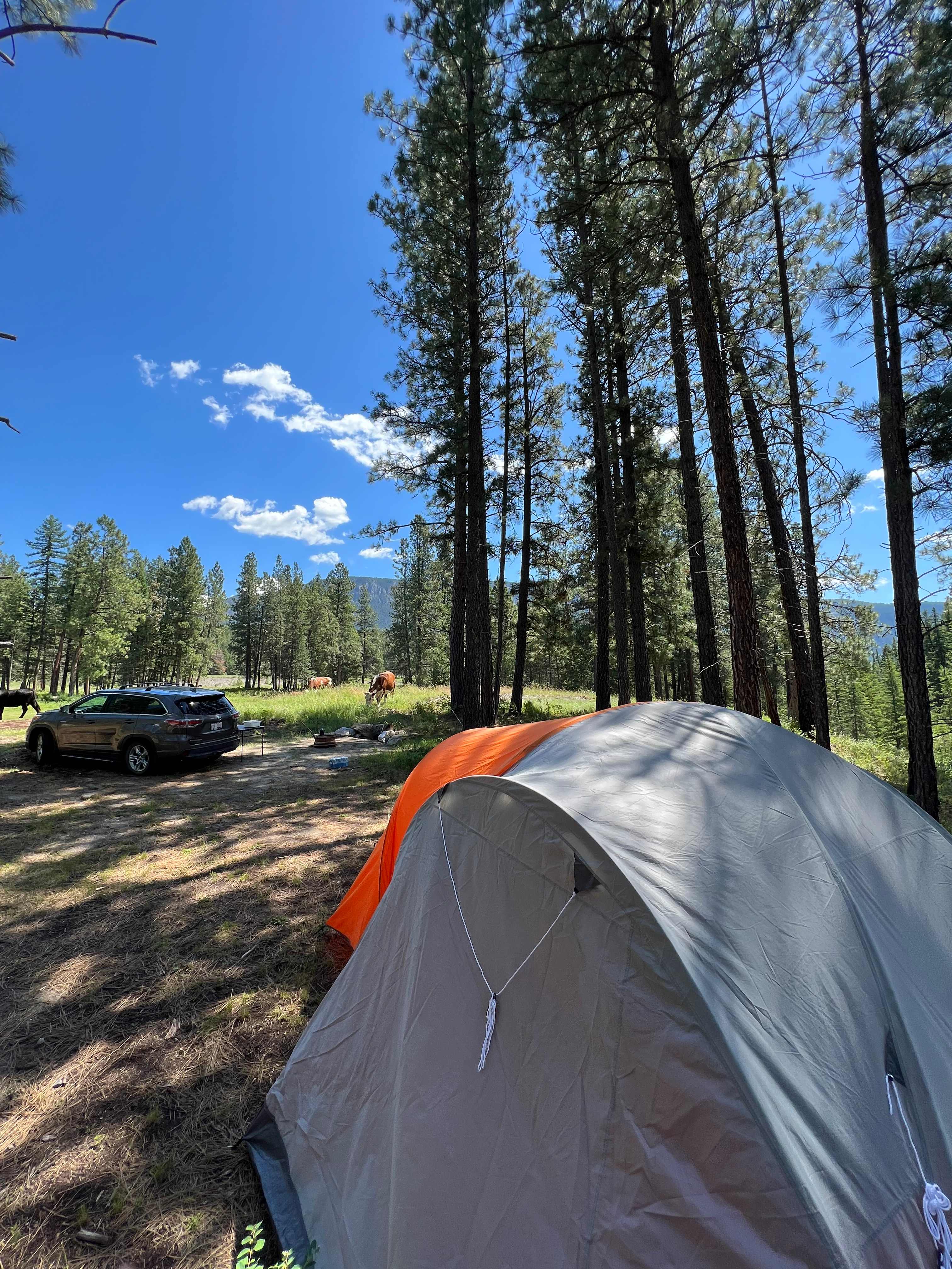 Blacksmith Landing Eco Camp