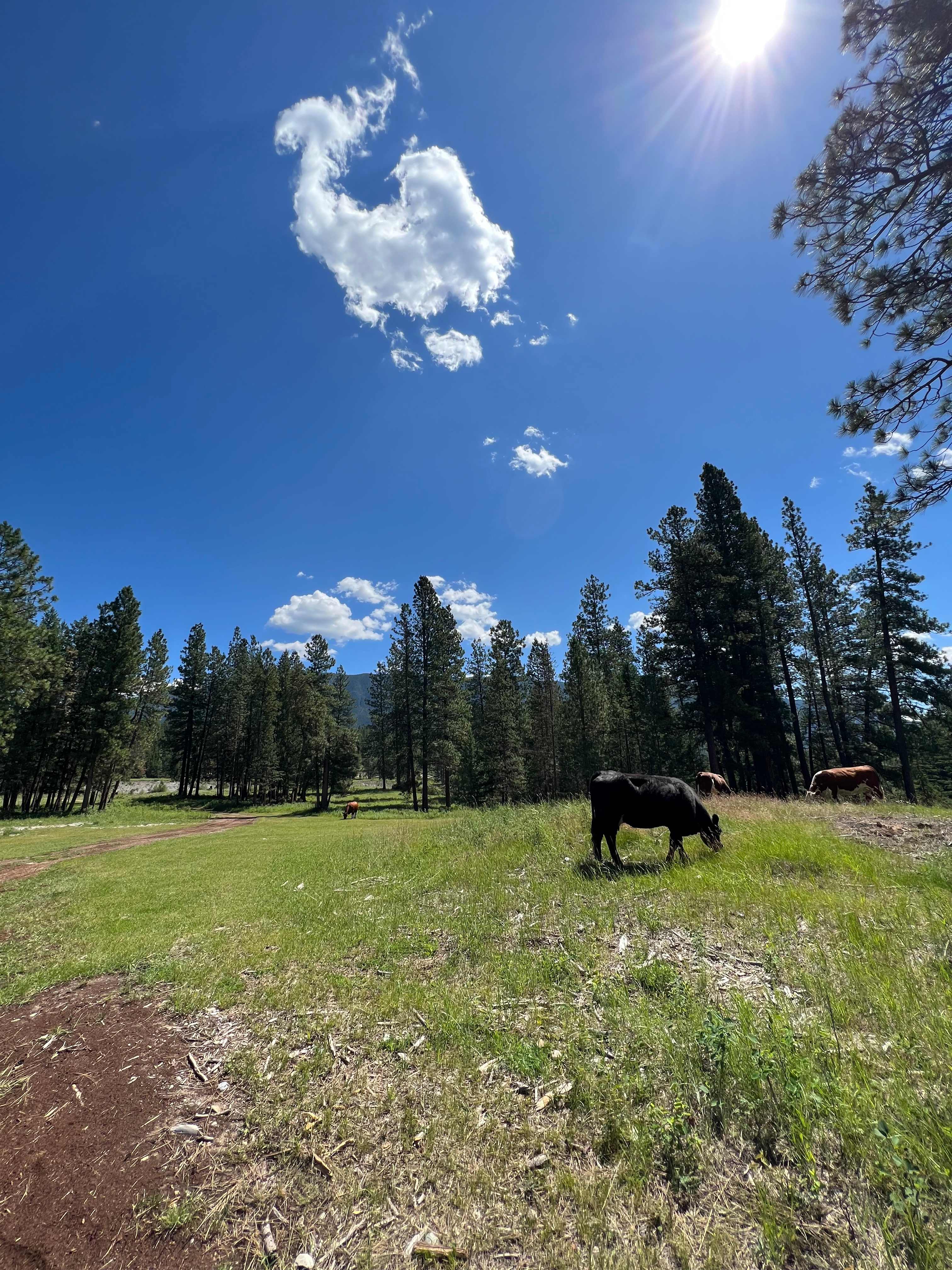 Blacksmith Landing Eco Camp